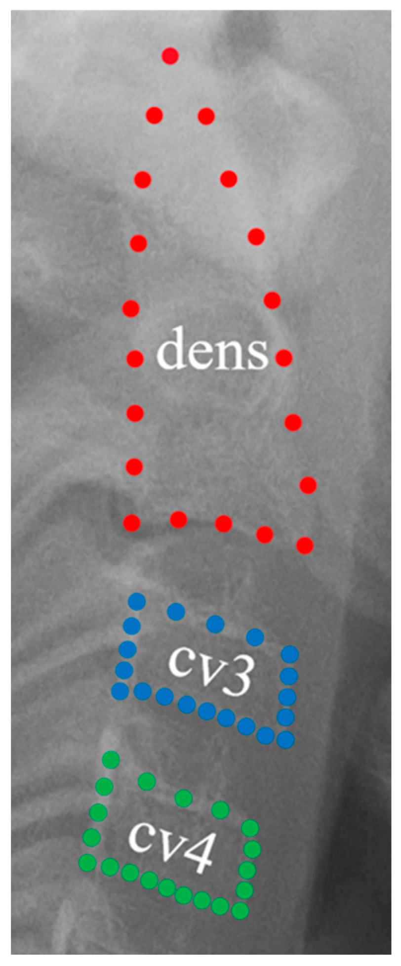 Diagnostics 14 02879 g002