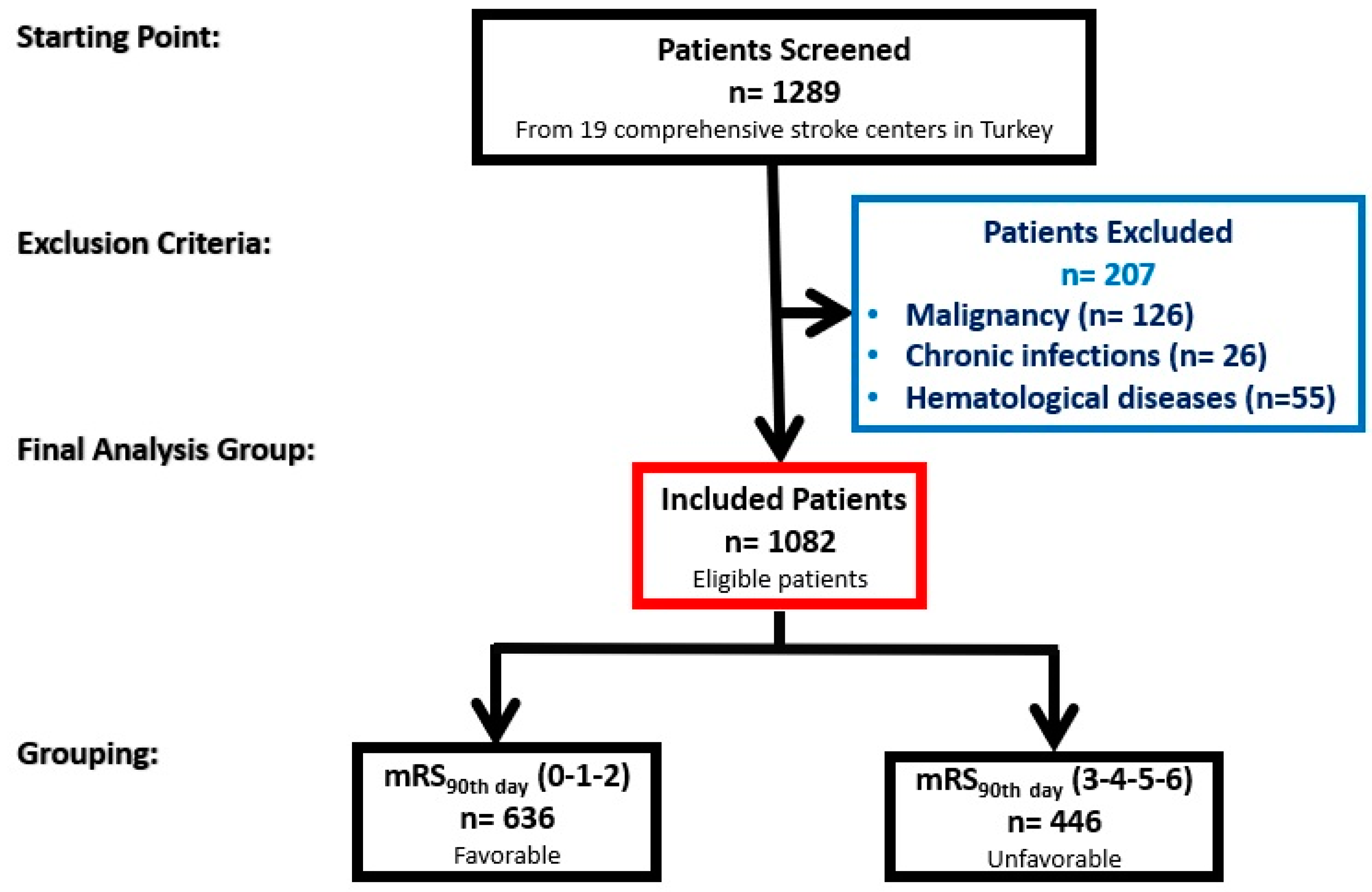 Diagnostics 14 02880 g001