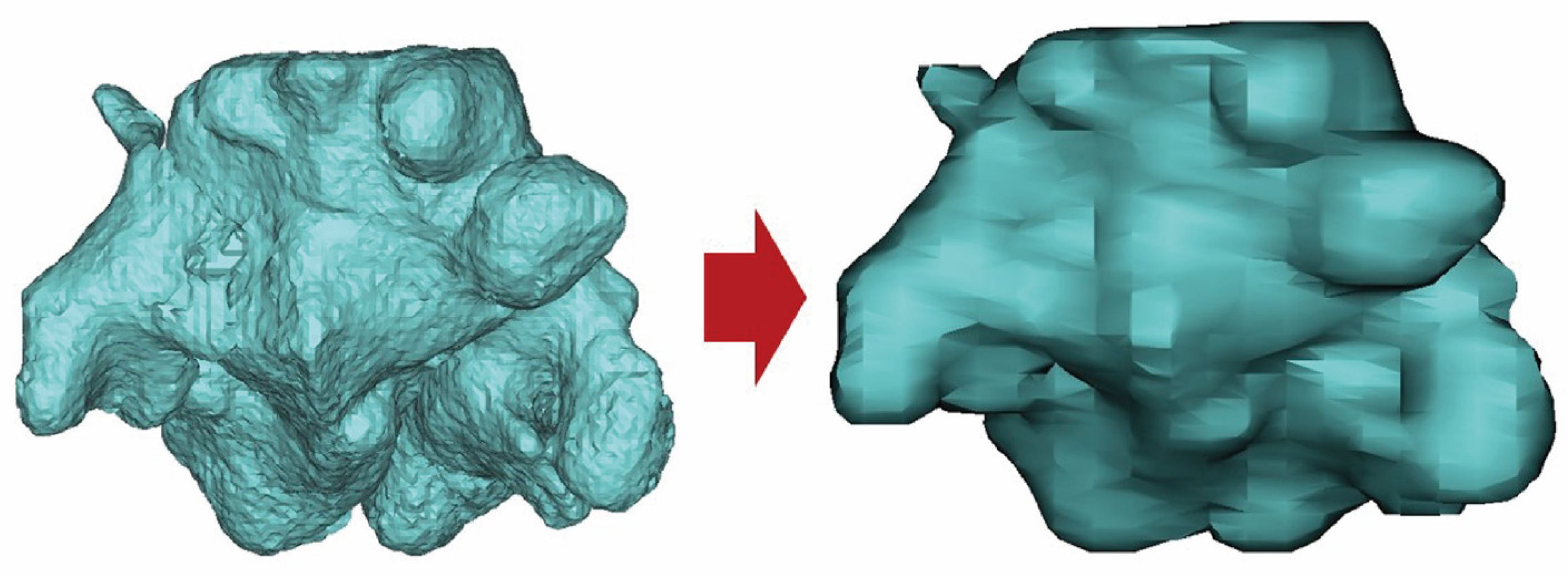 Diagnostics 14 02888 g004