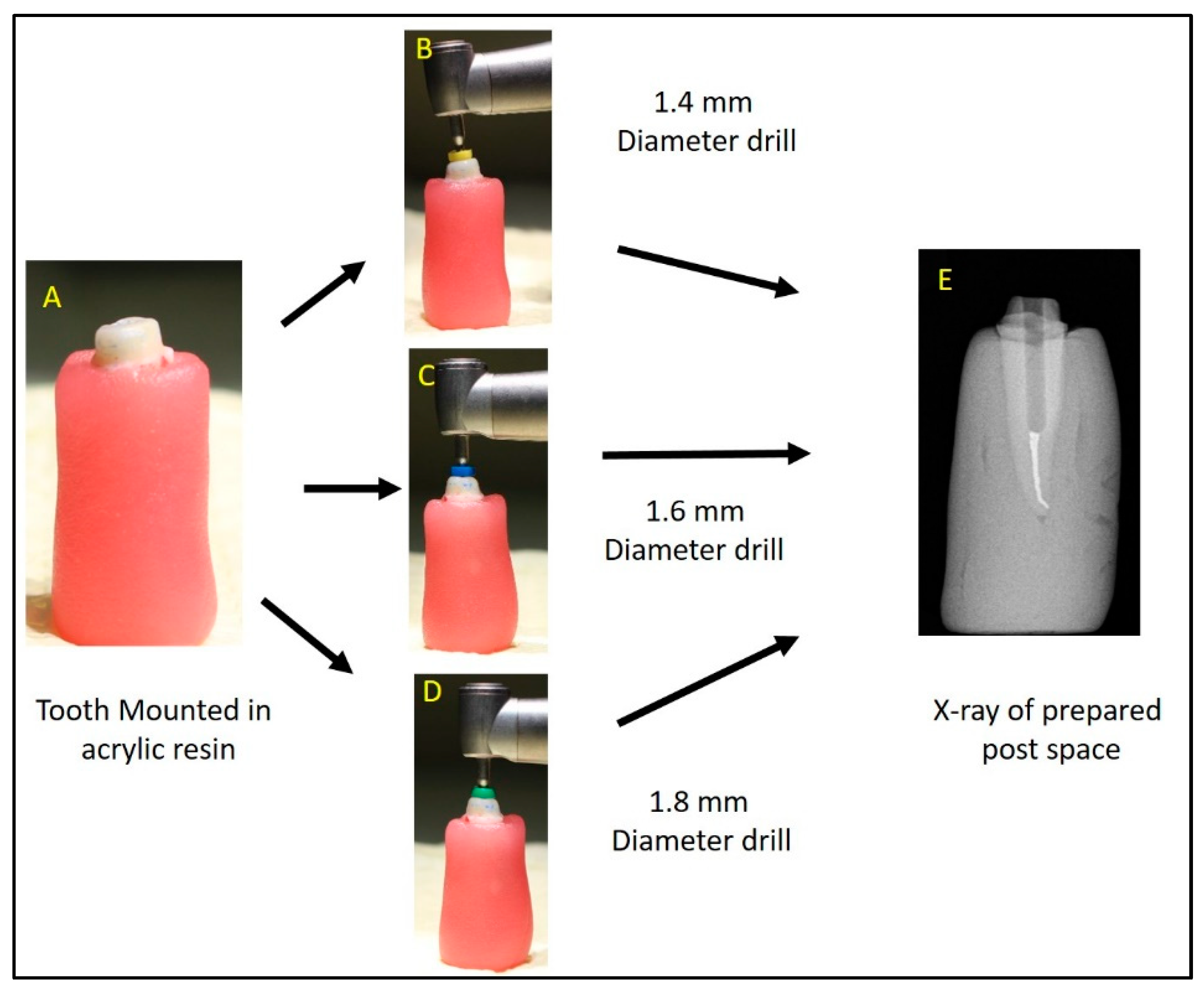 Diagnostics 14 02893 g001