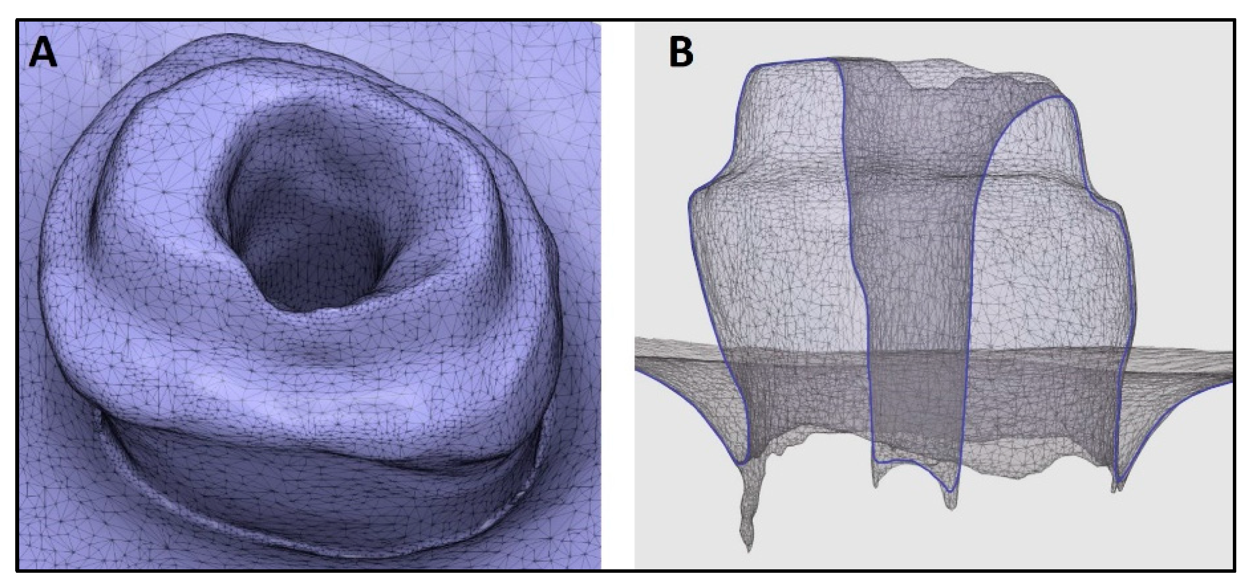 Diagnostics 14 02893 g004