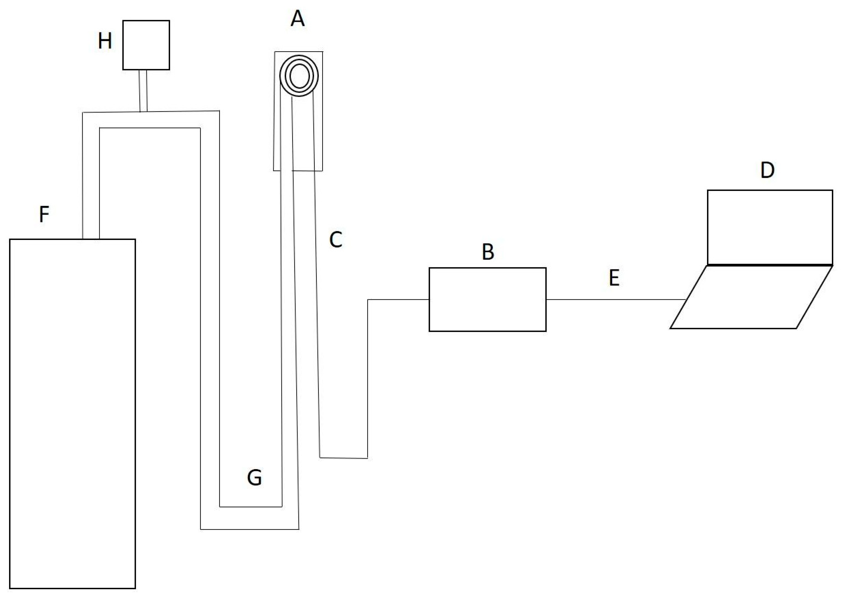 Diagnostics 14 02894 g001