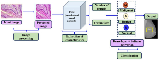 cancer convolutional neural network unsupervised learning
