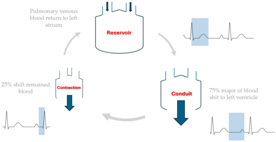 ギャオ Relationship Between Left Atrial Strain and Atrial