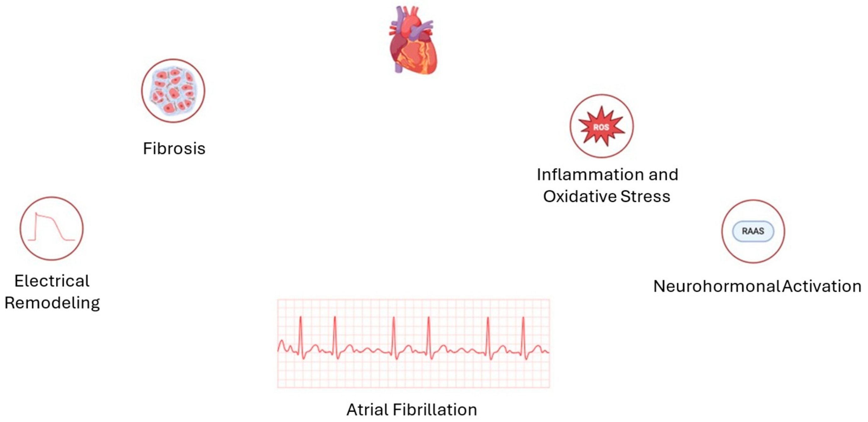 Diagnostics 15 00007 g004
