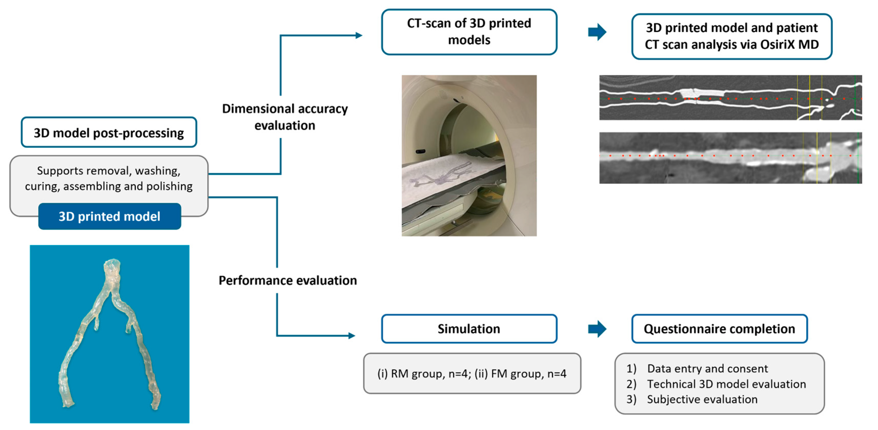 Diagnostics 15 00008 g004