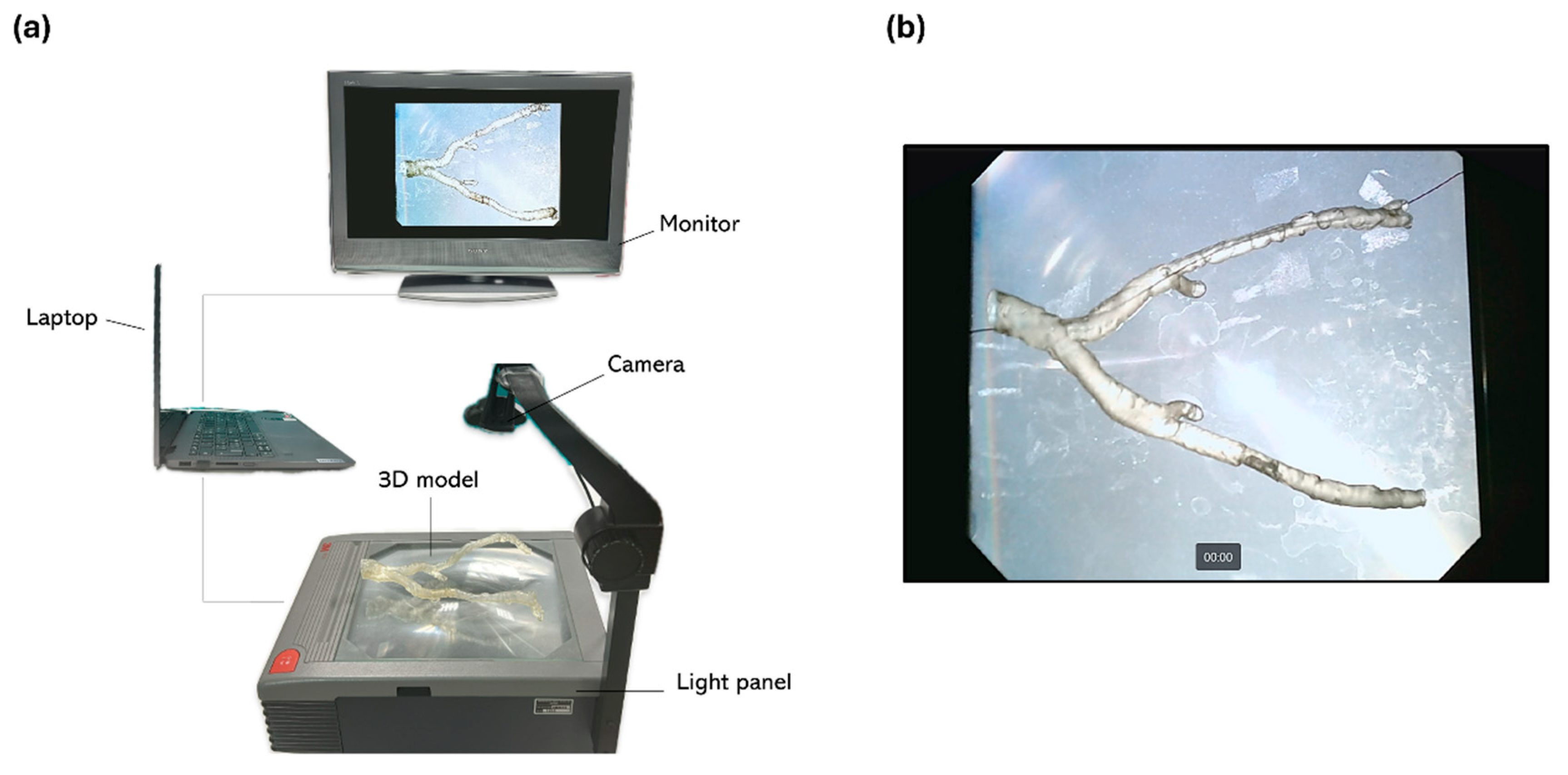 Diagnostics 15 00008 g005
