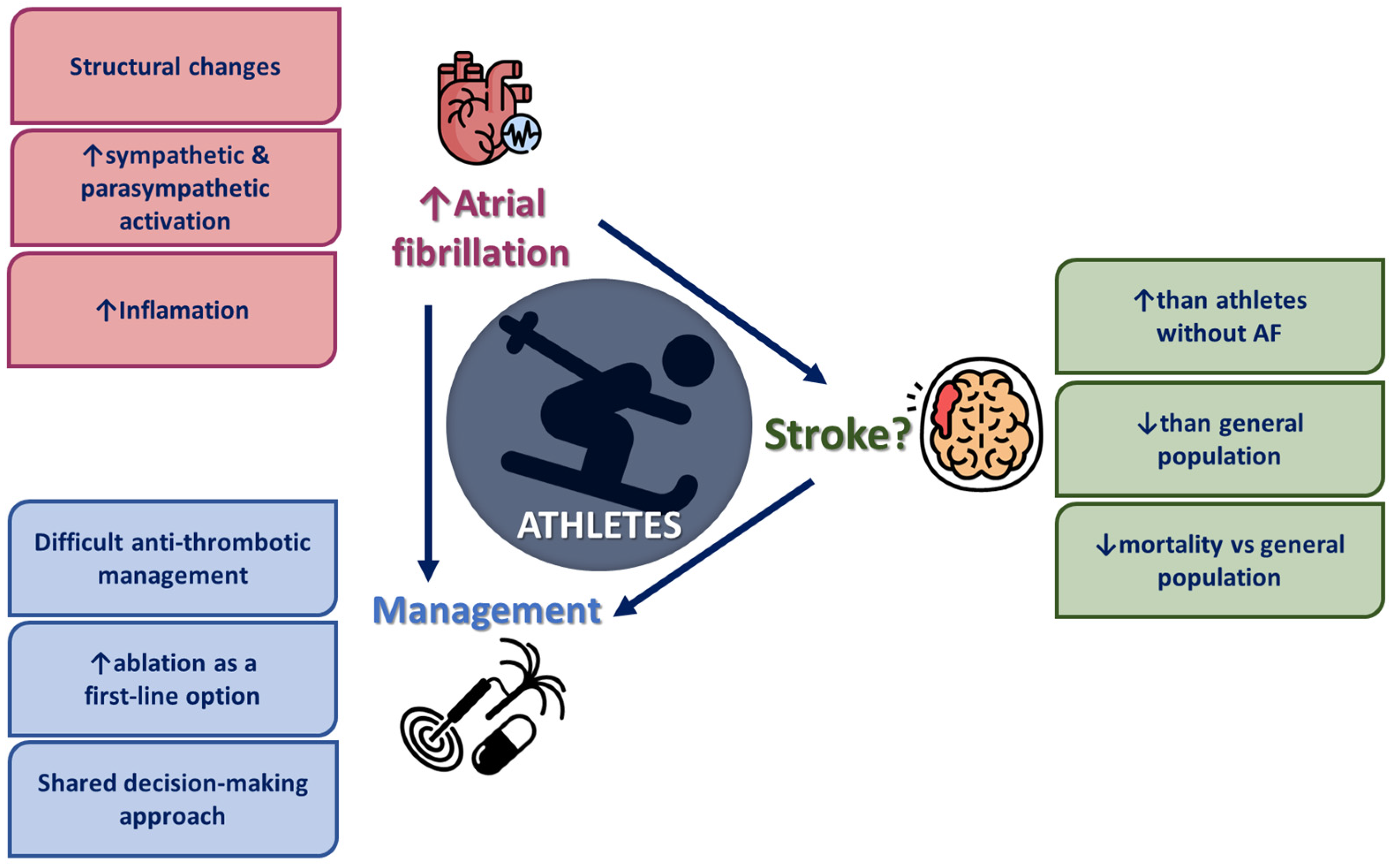 Diagnostics 15 00009 g001