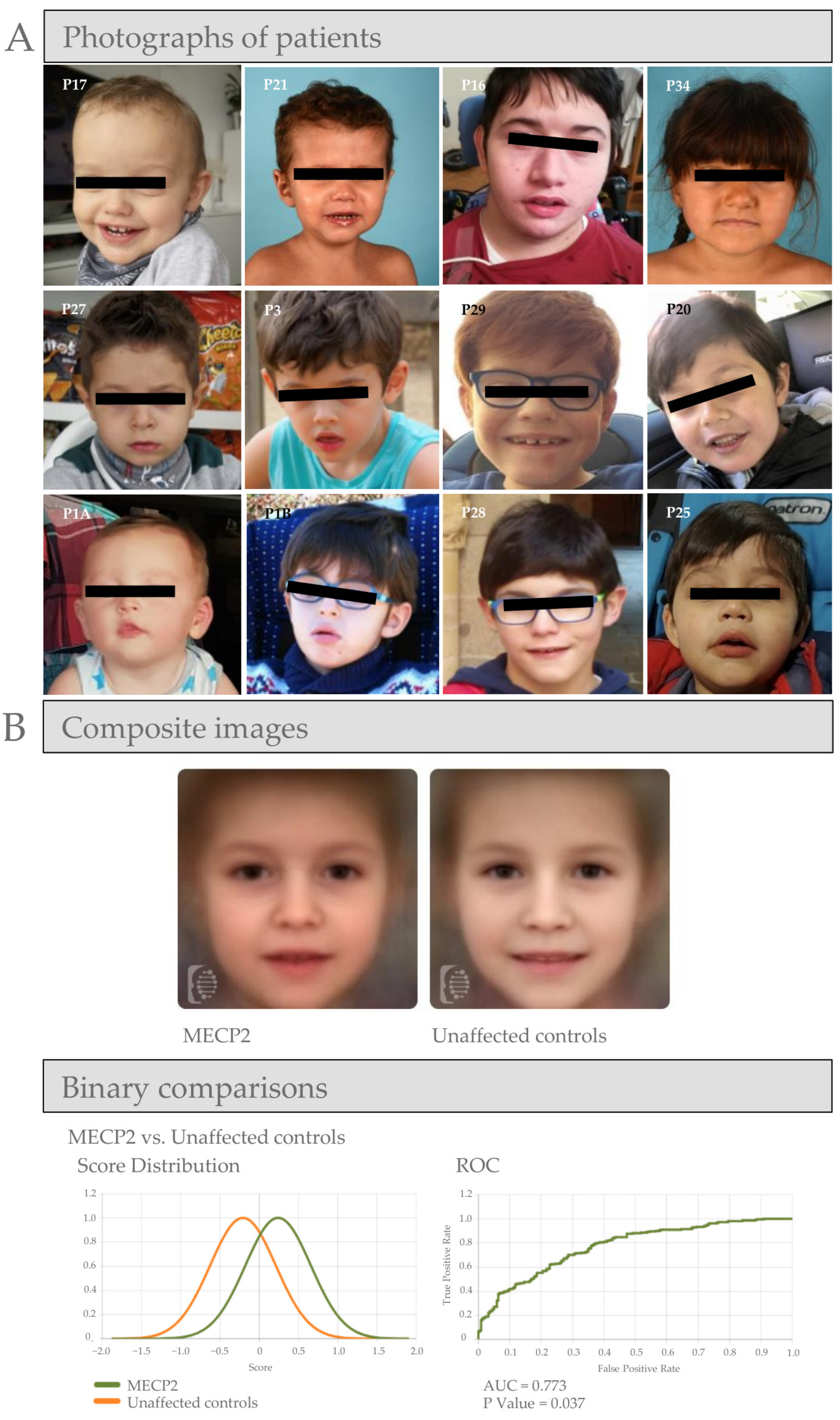 Diagnostics 15 00010 g001