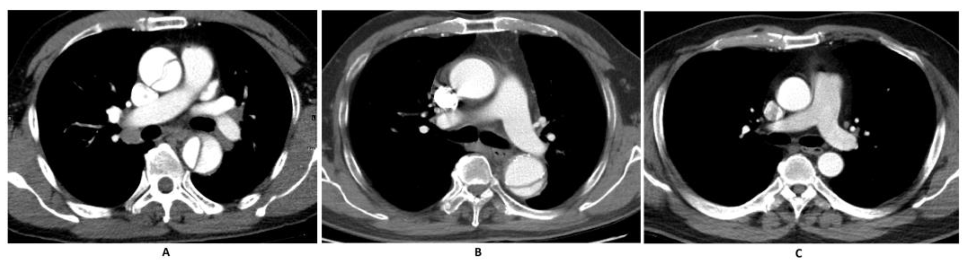 Diagnostics 15 00012 g001