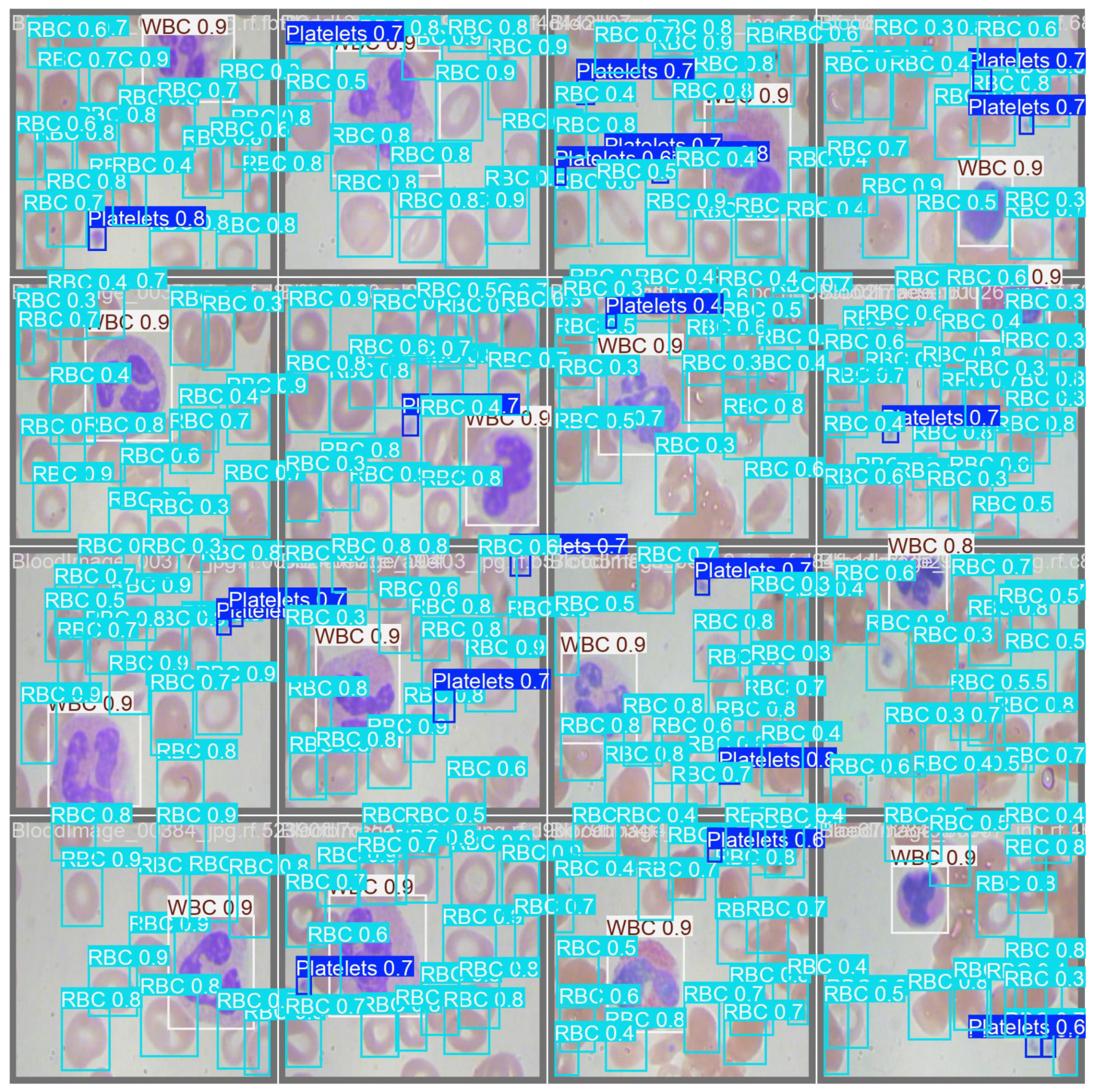Diagnostics 15 00022 g004