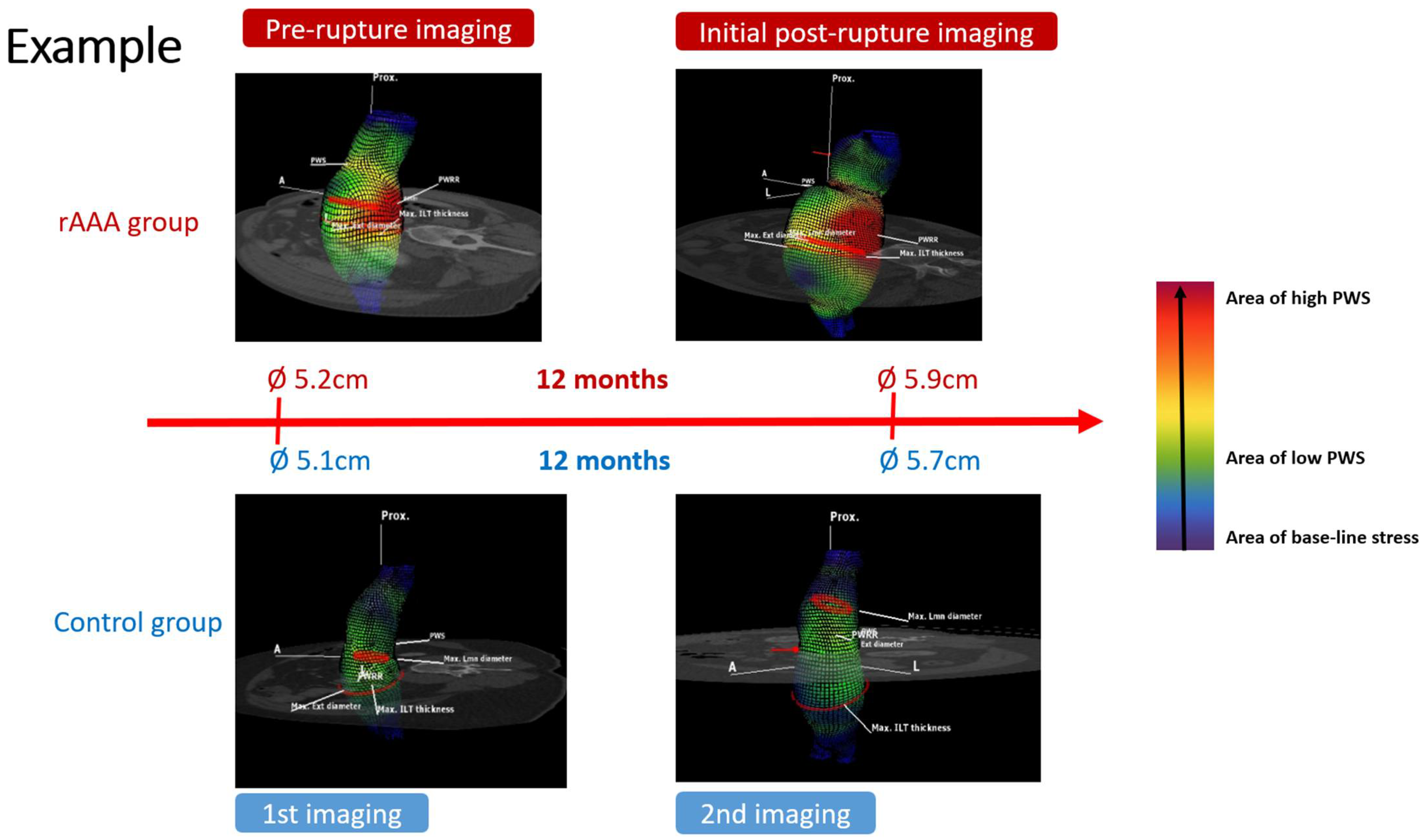 Diagnostics 15 00025 g004