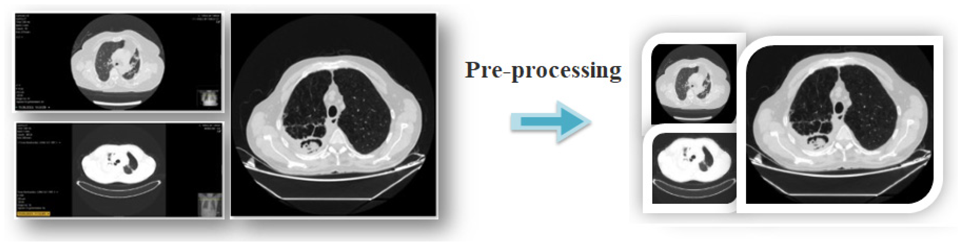 Diagnostics 15 00026 g004