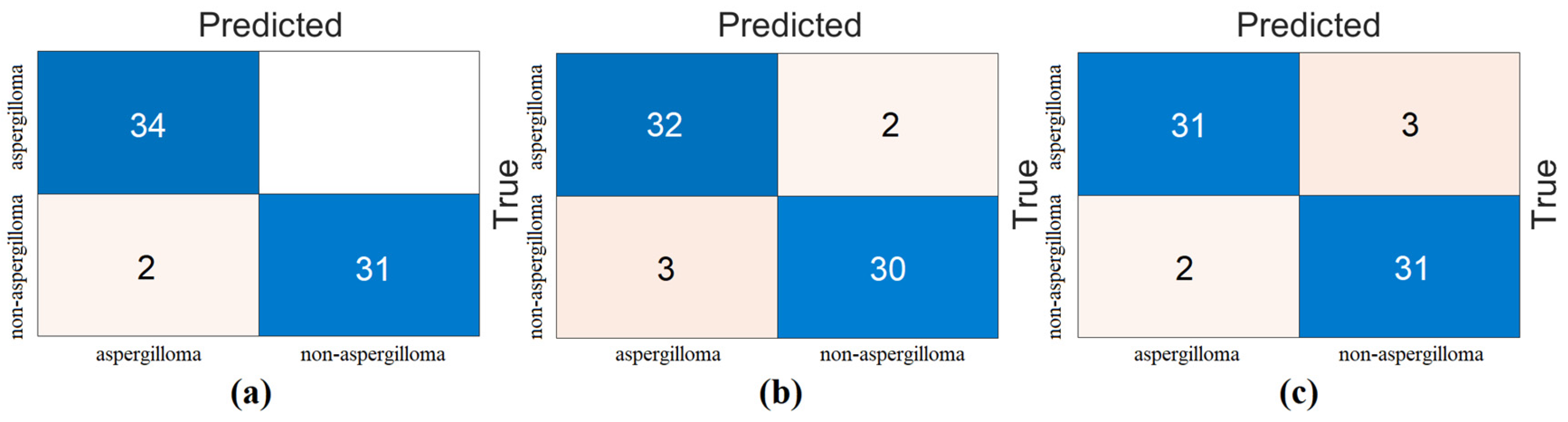 Diagnostics 15 00026 g006