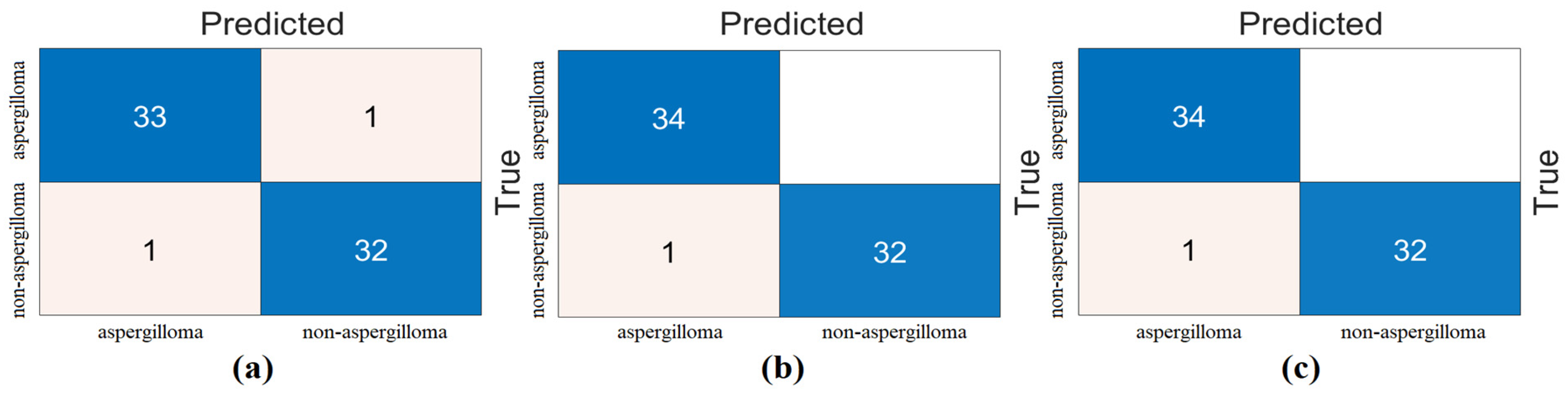 Diagnostics 15 00026 g007