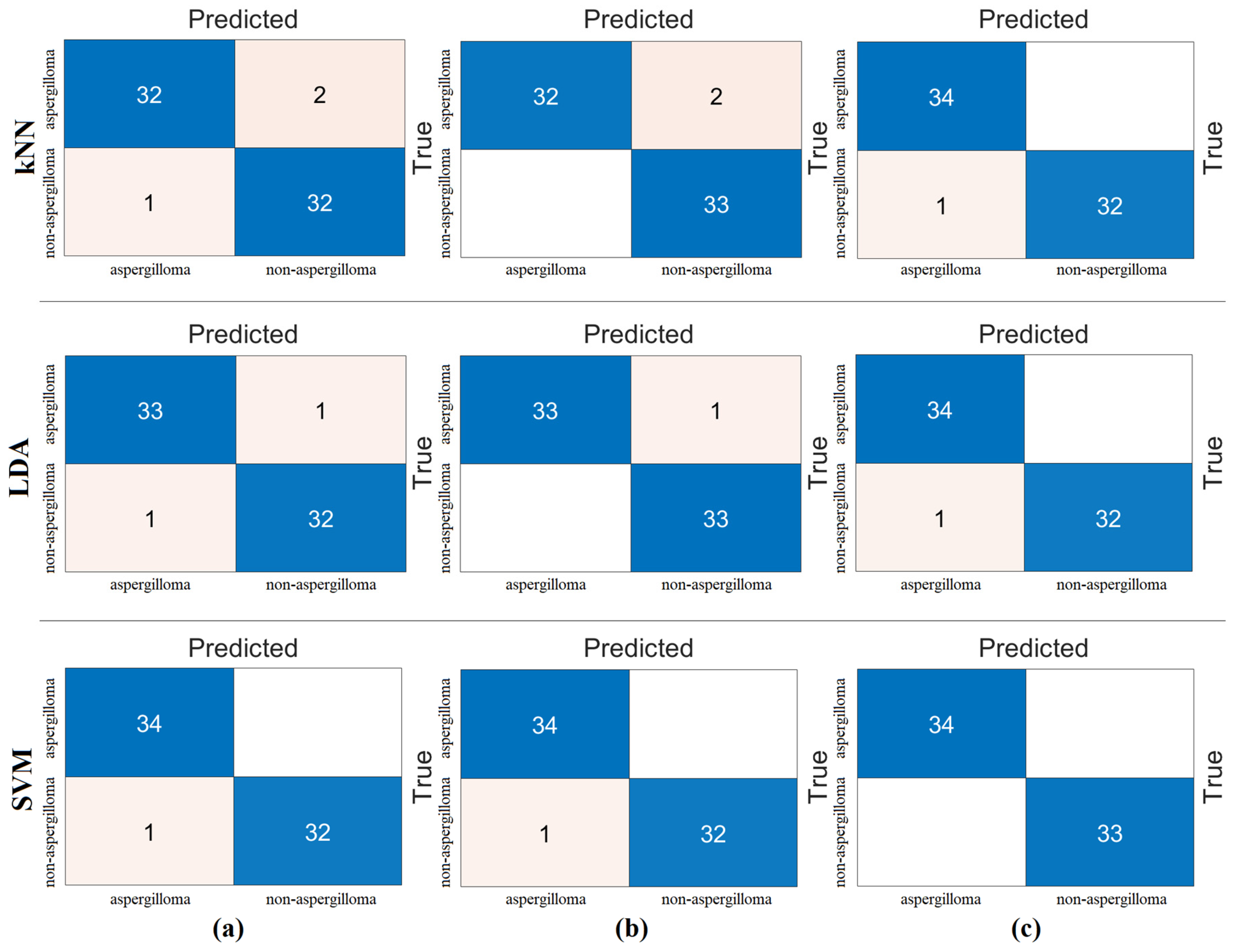 Diagnostics 15 00026 g010
