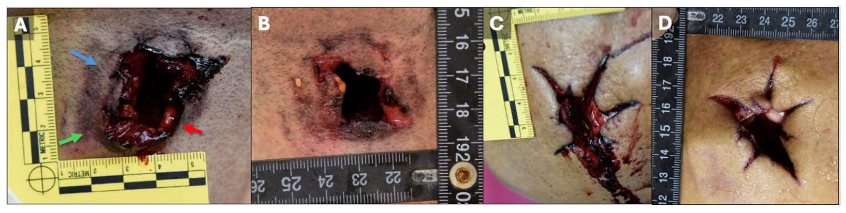 Diagnostics 15 00031 g003