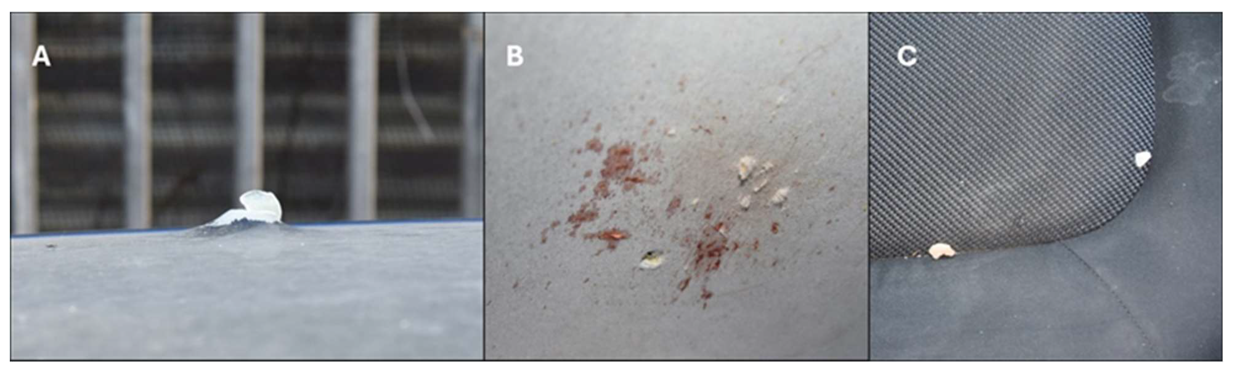 Diagnostics 15 00031 g004