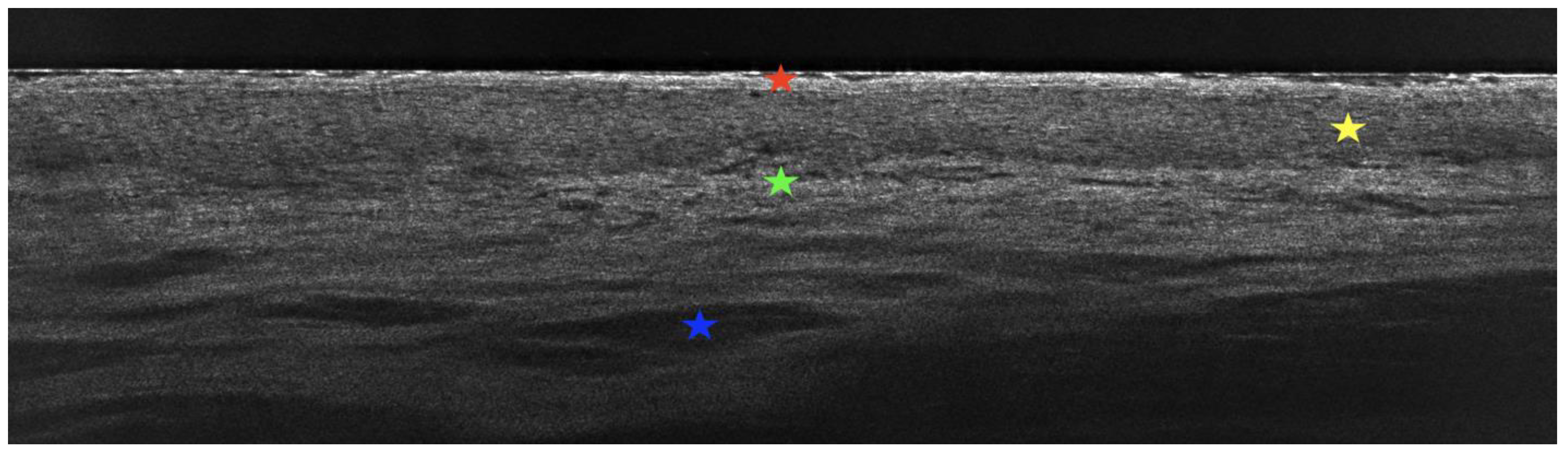 Diagnostics 15 00035 g004 Diagnostics 15 00035 g004