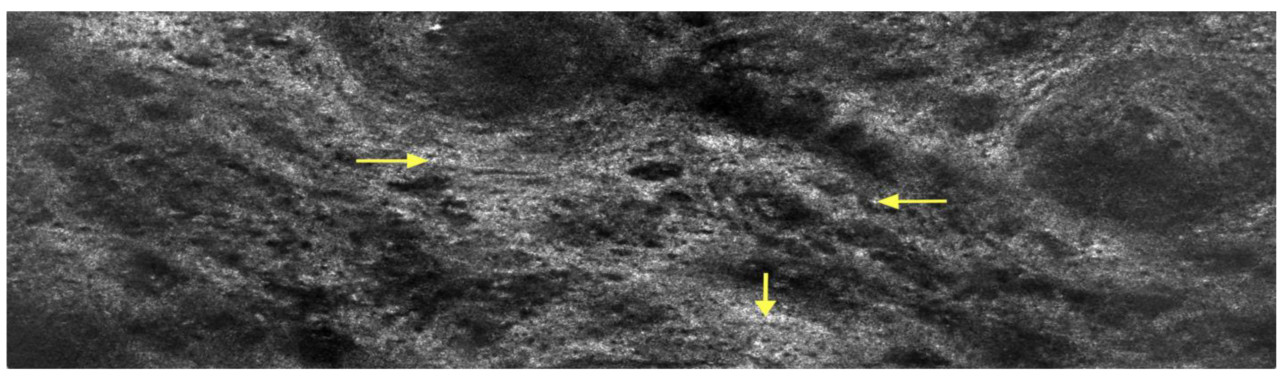 Diagnostics 15 00035 g005 Diagnostics 15 00035 g005