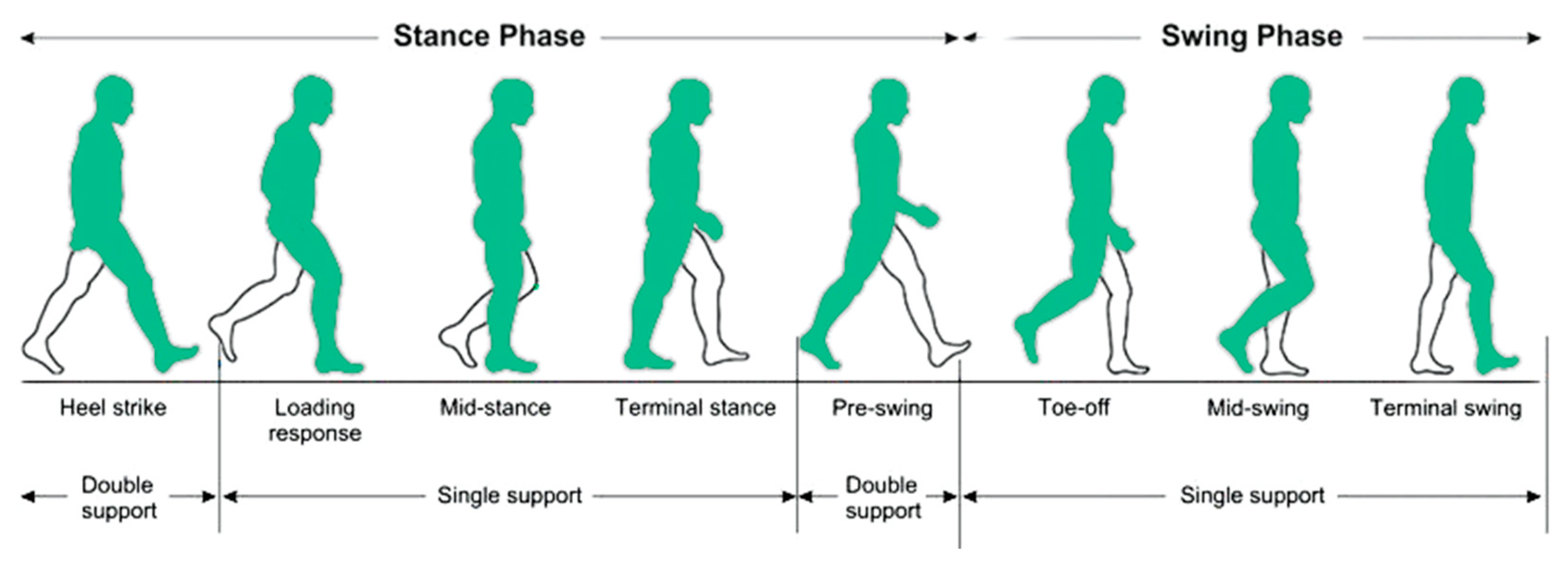 Diagnostics 15 00036 g001