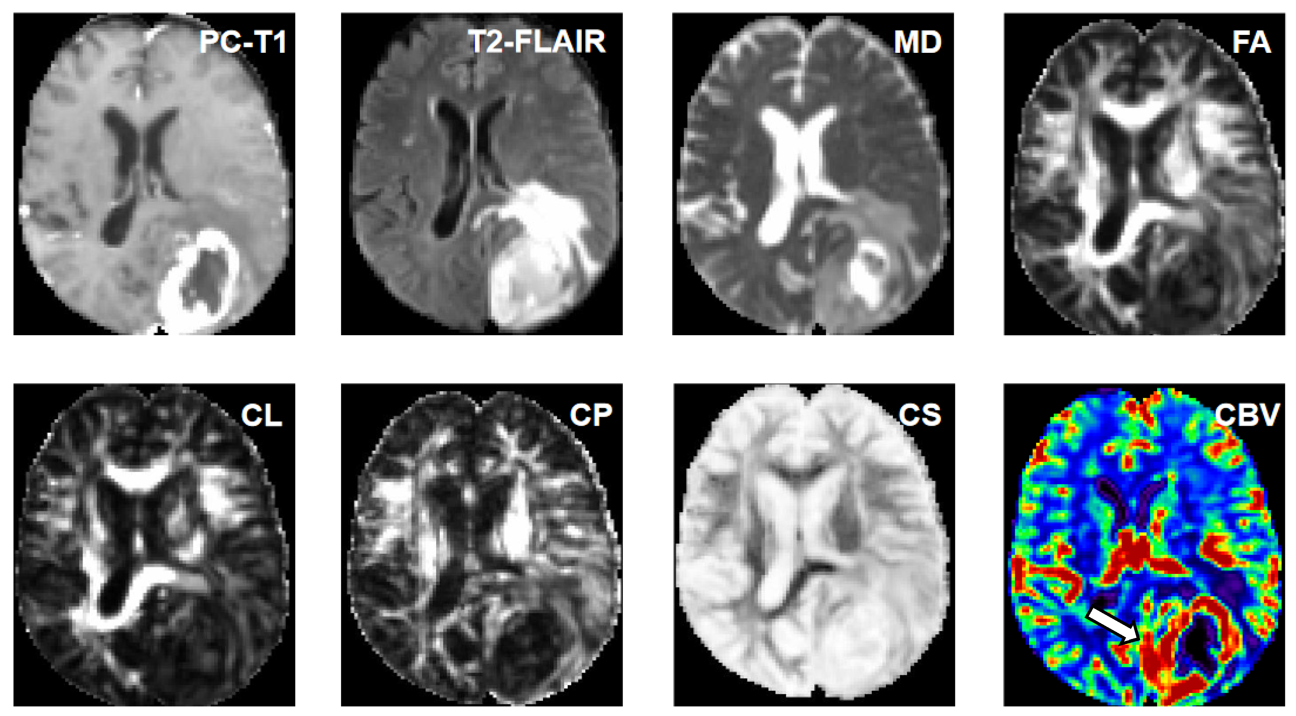 Diagnostics 15 00038 g004
