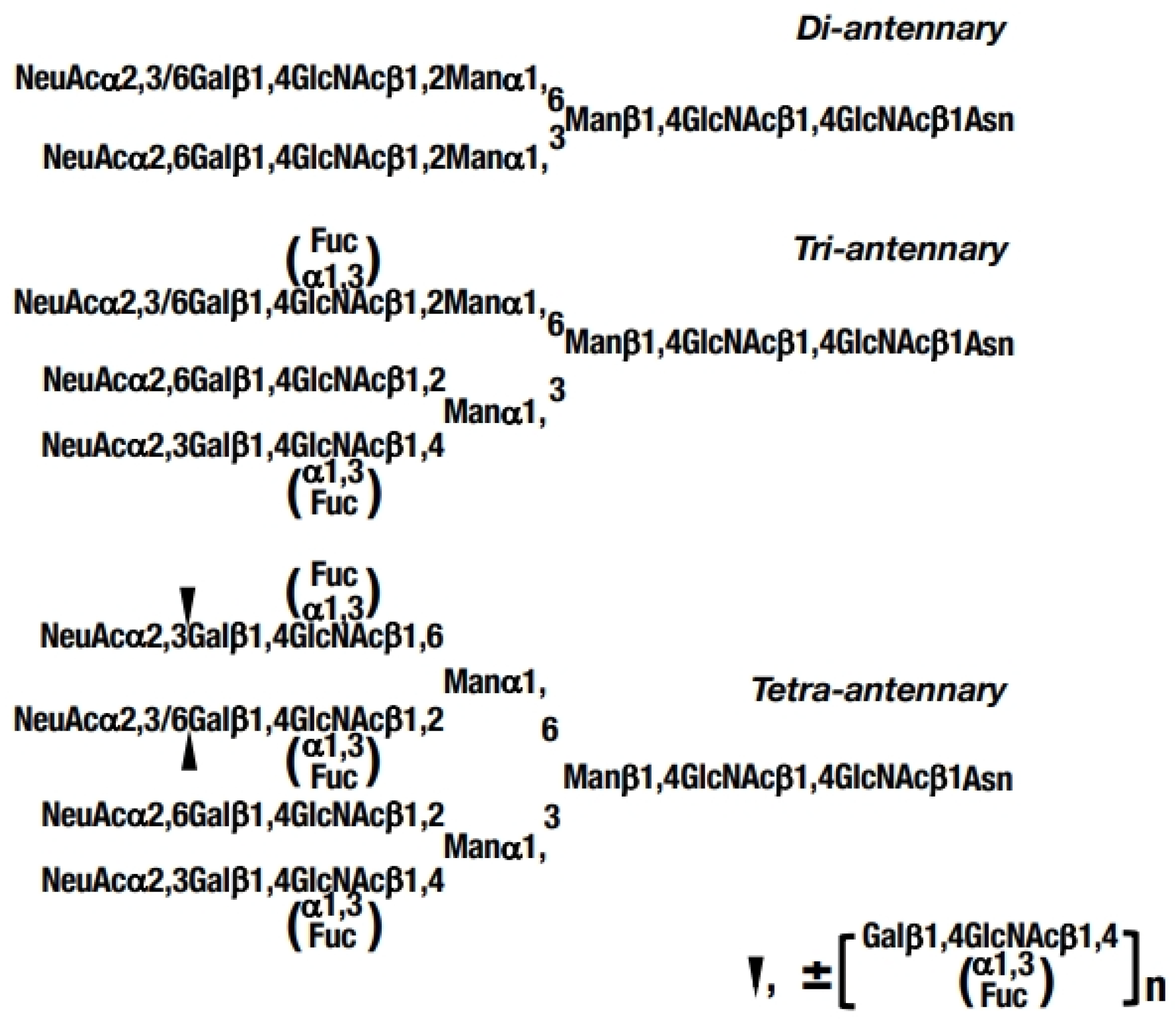 Diagnostics 15 00040 g001