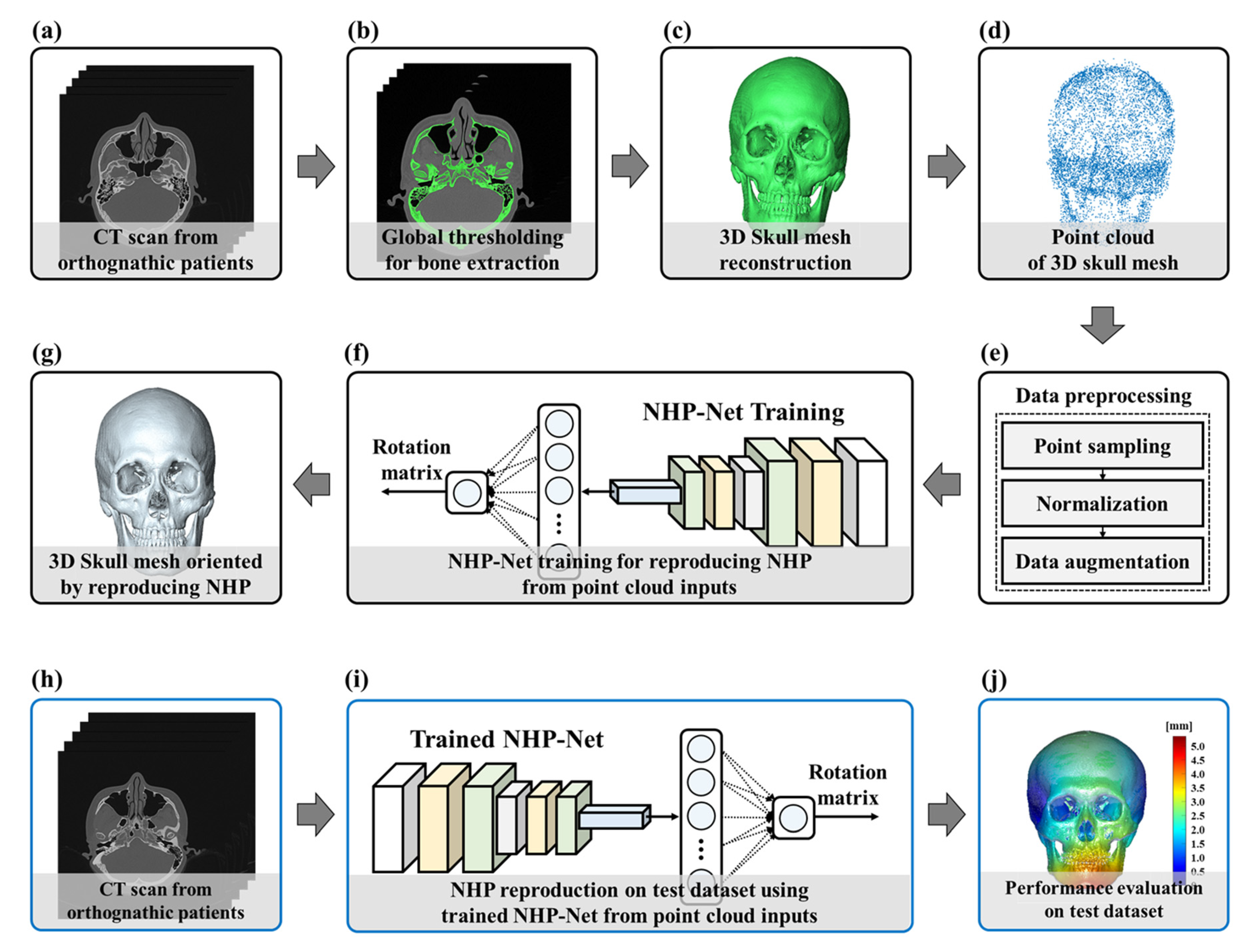 Diagnostics 15 00042 g002
