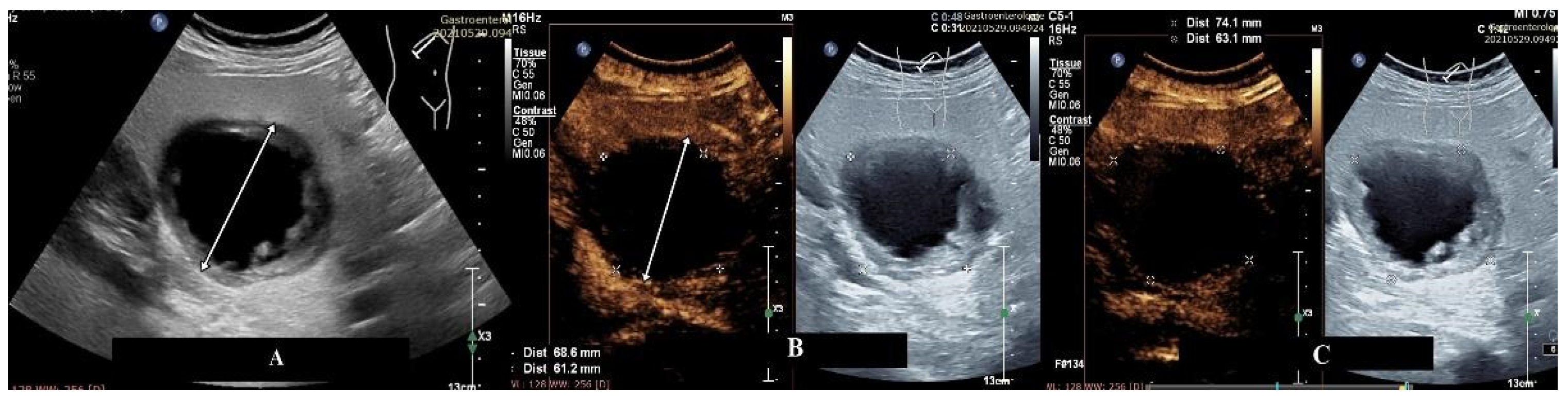Diagnostics 15 00046 g001