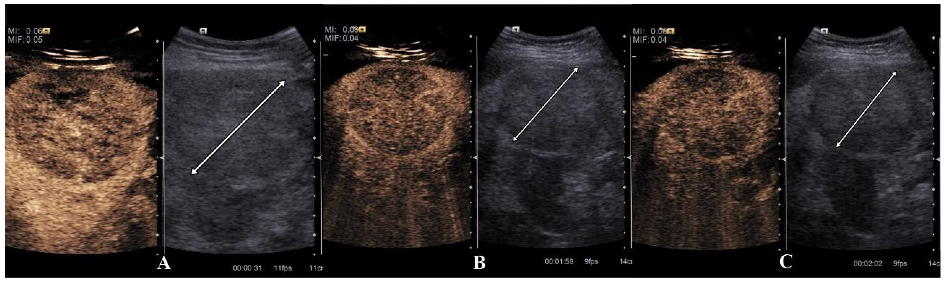Diagnostics 15 00046 g003