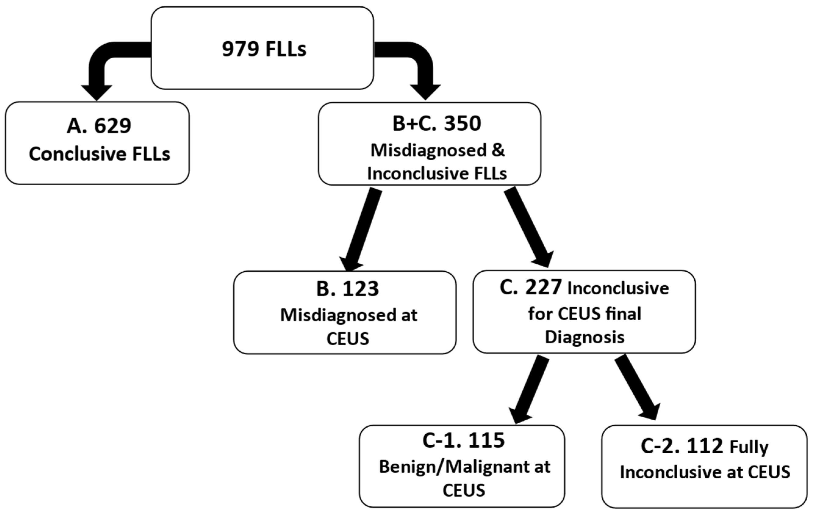 Diagnostics 15 00046 g005