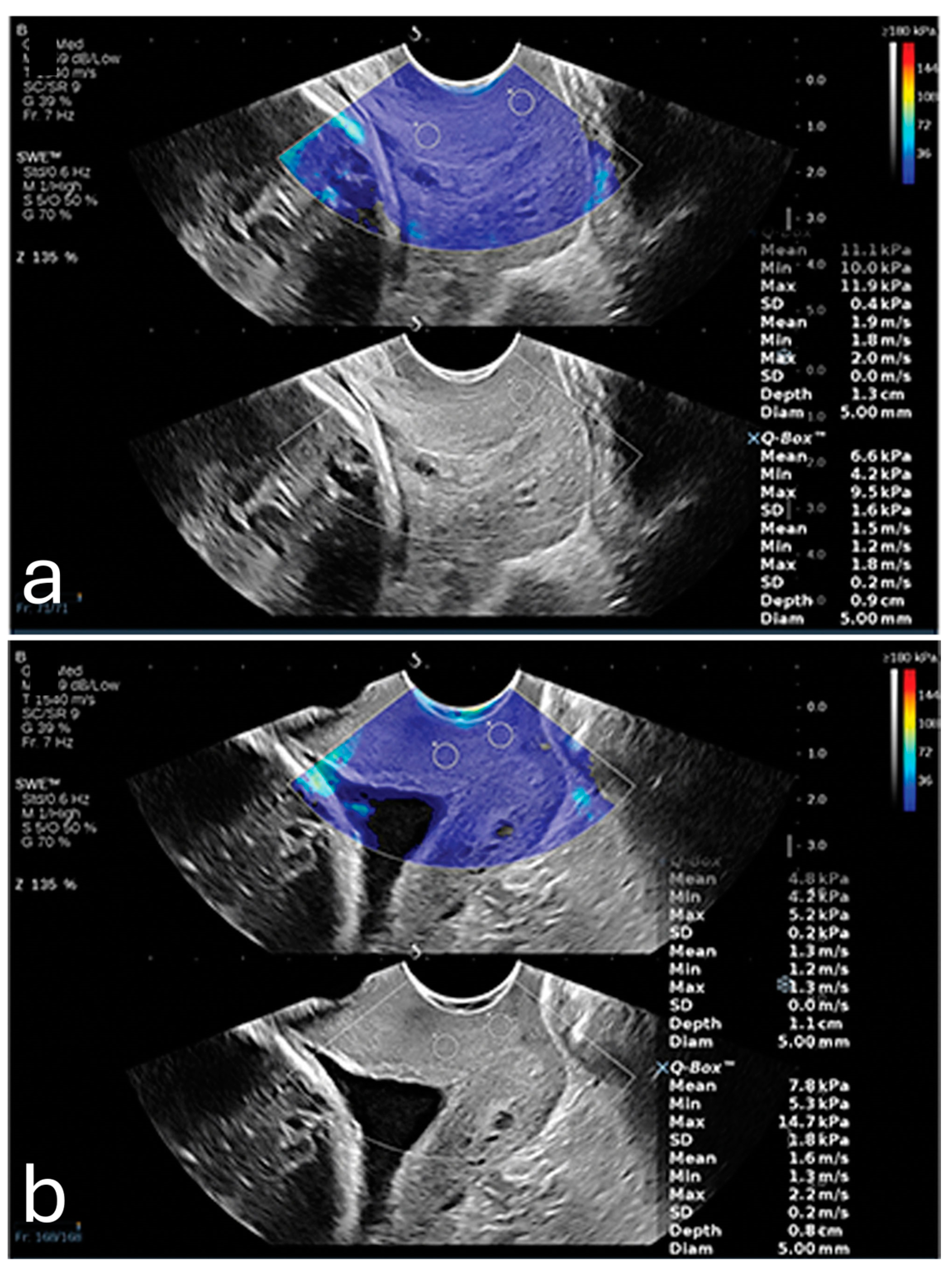 Diagnostics 15 00047 g001