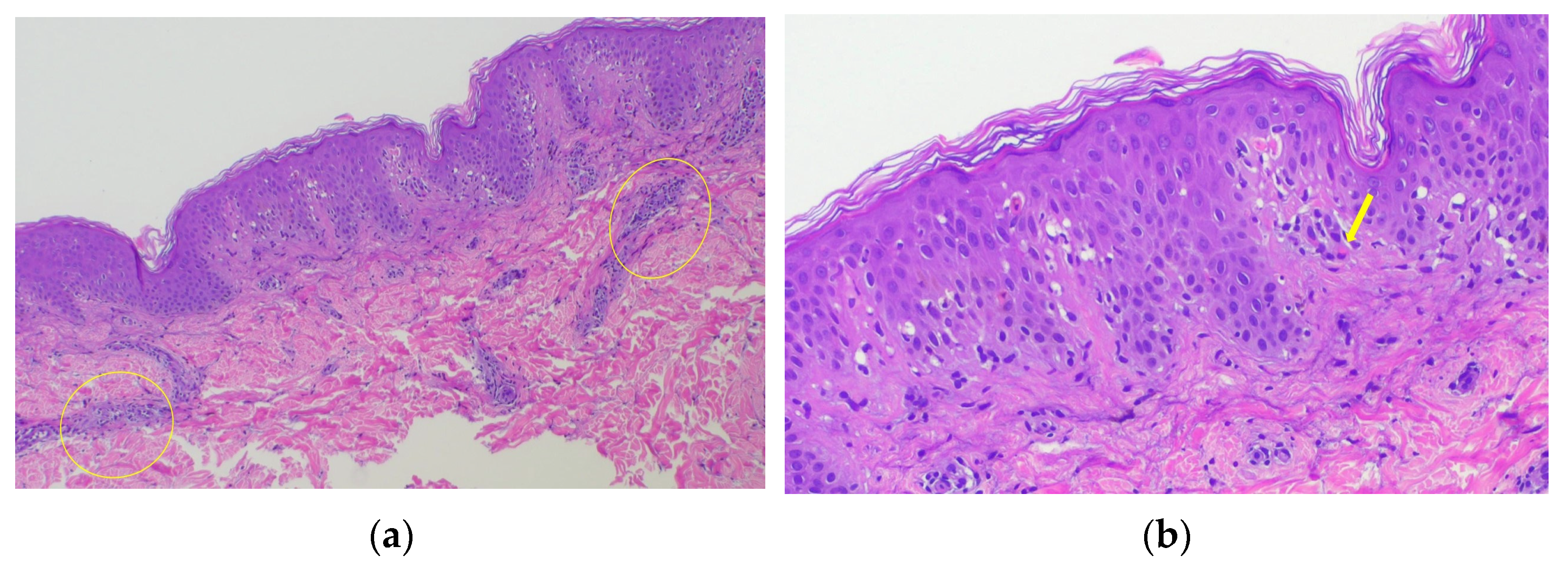 Diagnostics 15 00048 g003