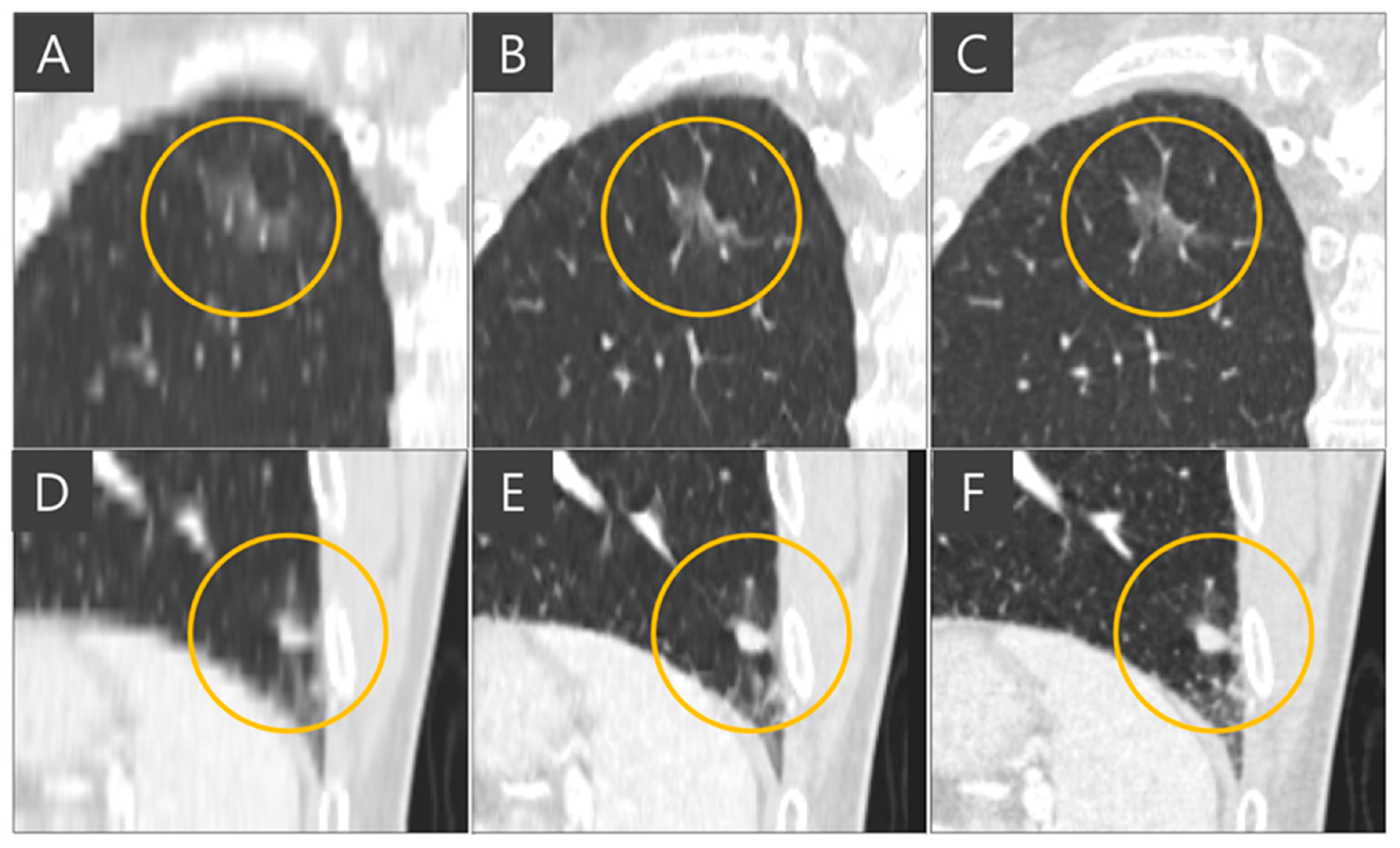 Diagnostics 15 00050 g005