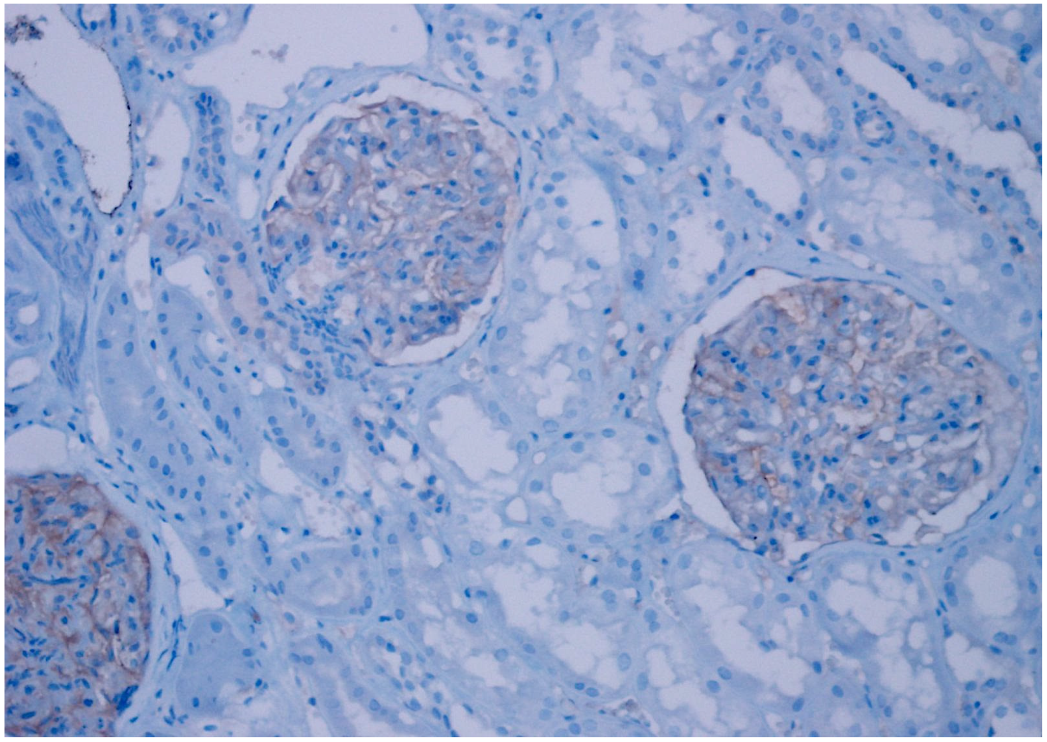 Diagnostics 15 00053 g001 Diagnostics 15 00053 g001