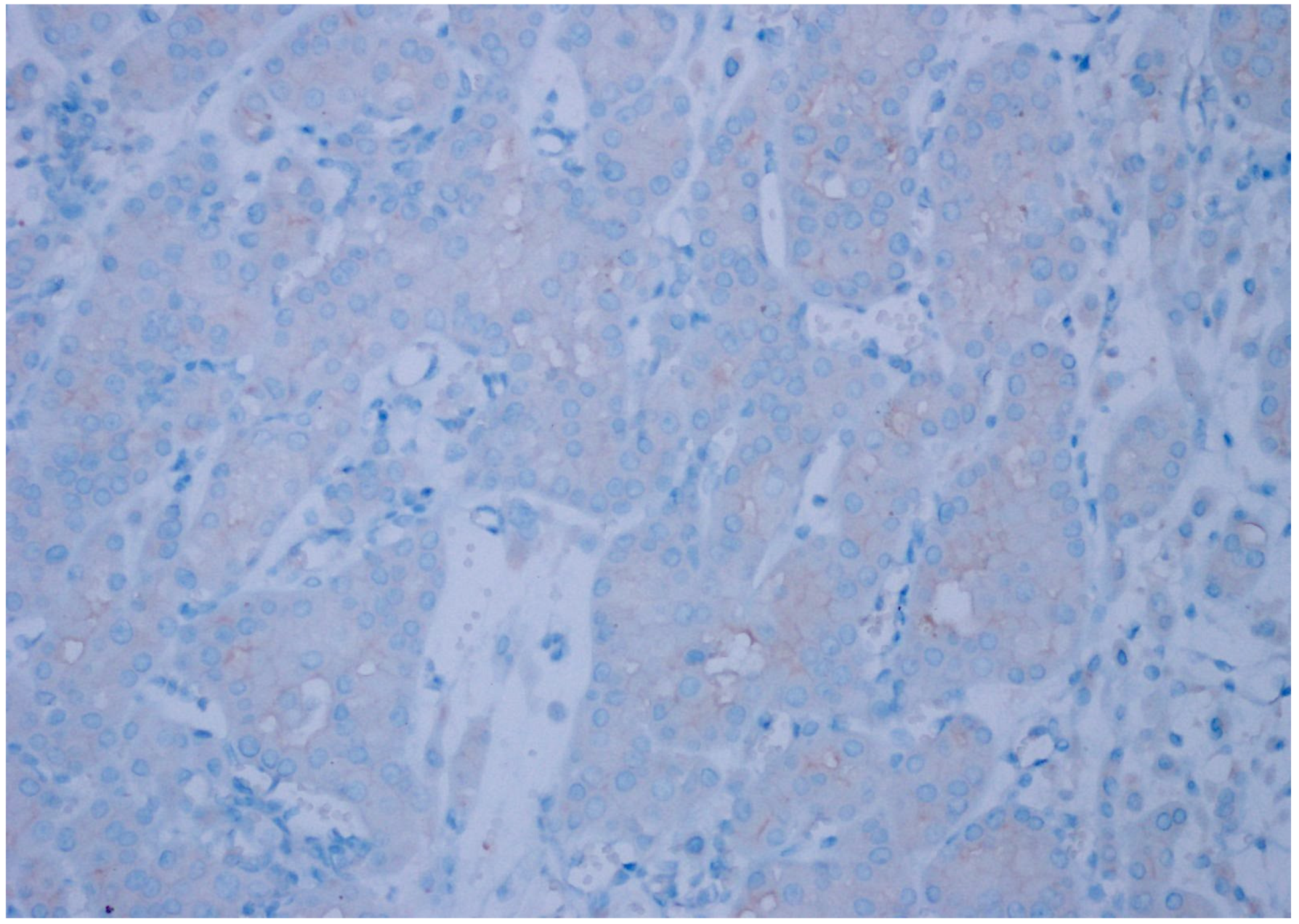 Diagnostics 15 00053 g002 Diagnostics 15 00053 g002