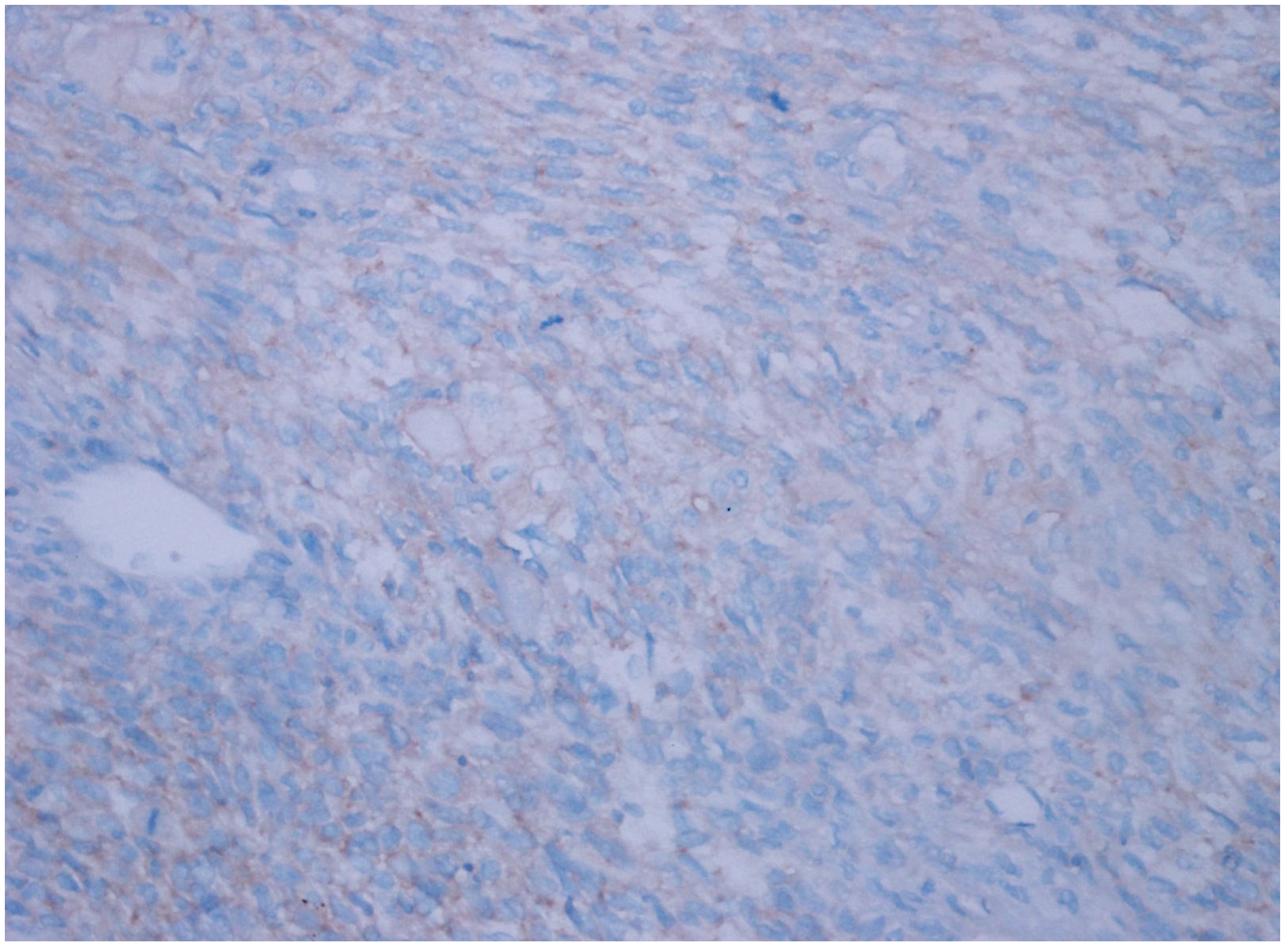 Diagnostics 15 00053 g004 Diagnostics 15 00053 g004