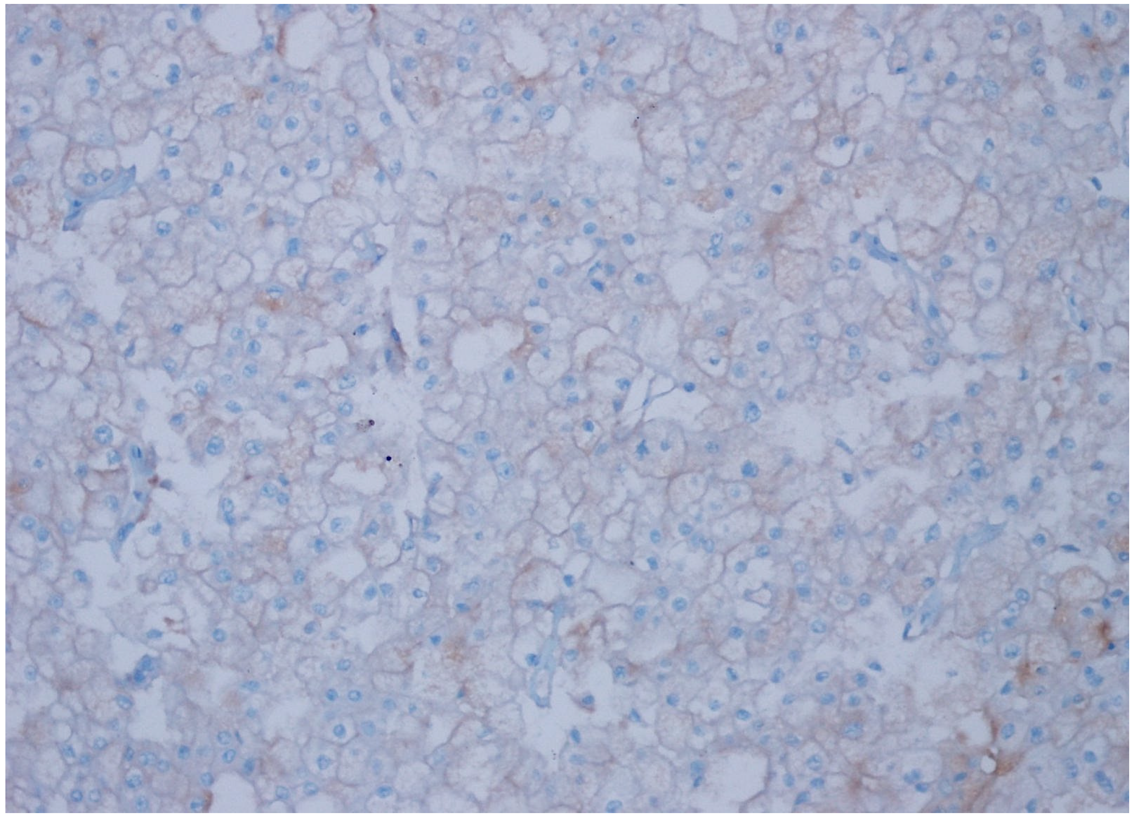 Diagnostics 15 00053 g005 Diagnostics 15 00053 g005