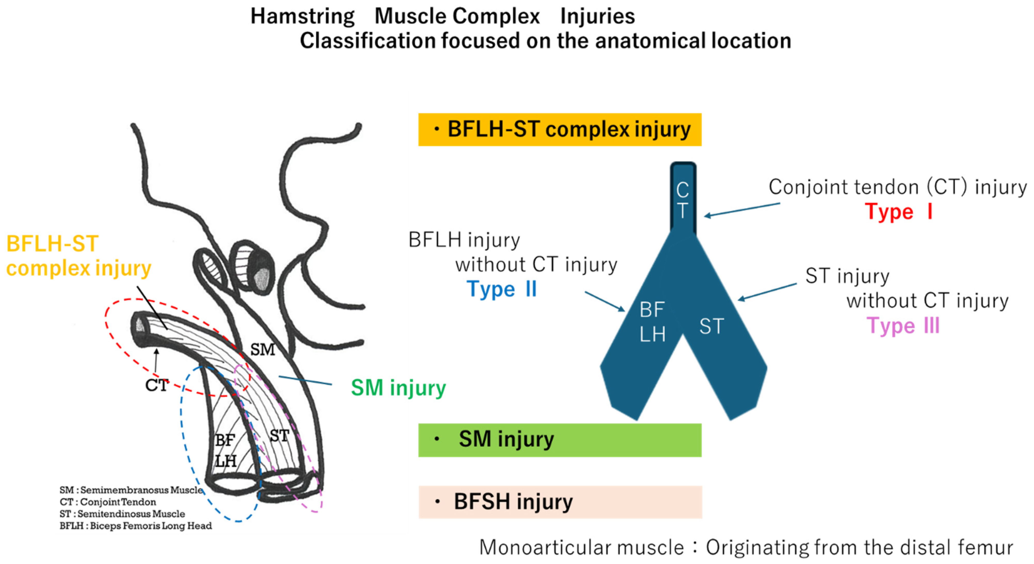 Diagnostics 15 00054 g001