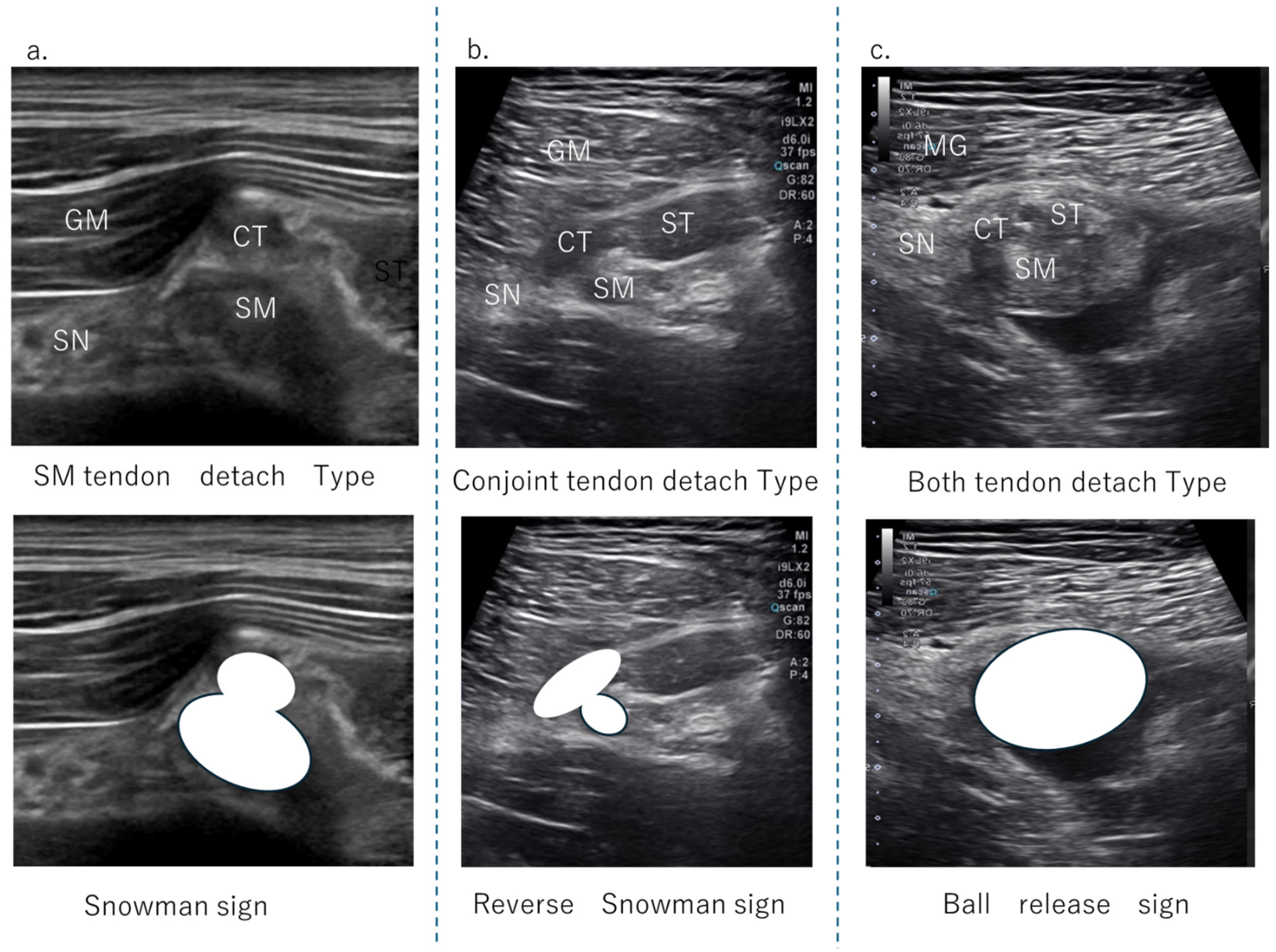 Diagnostics 15 00054 g003