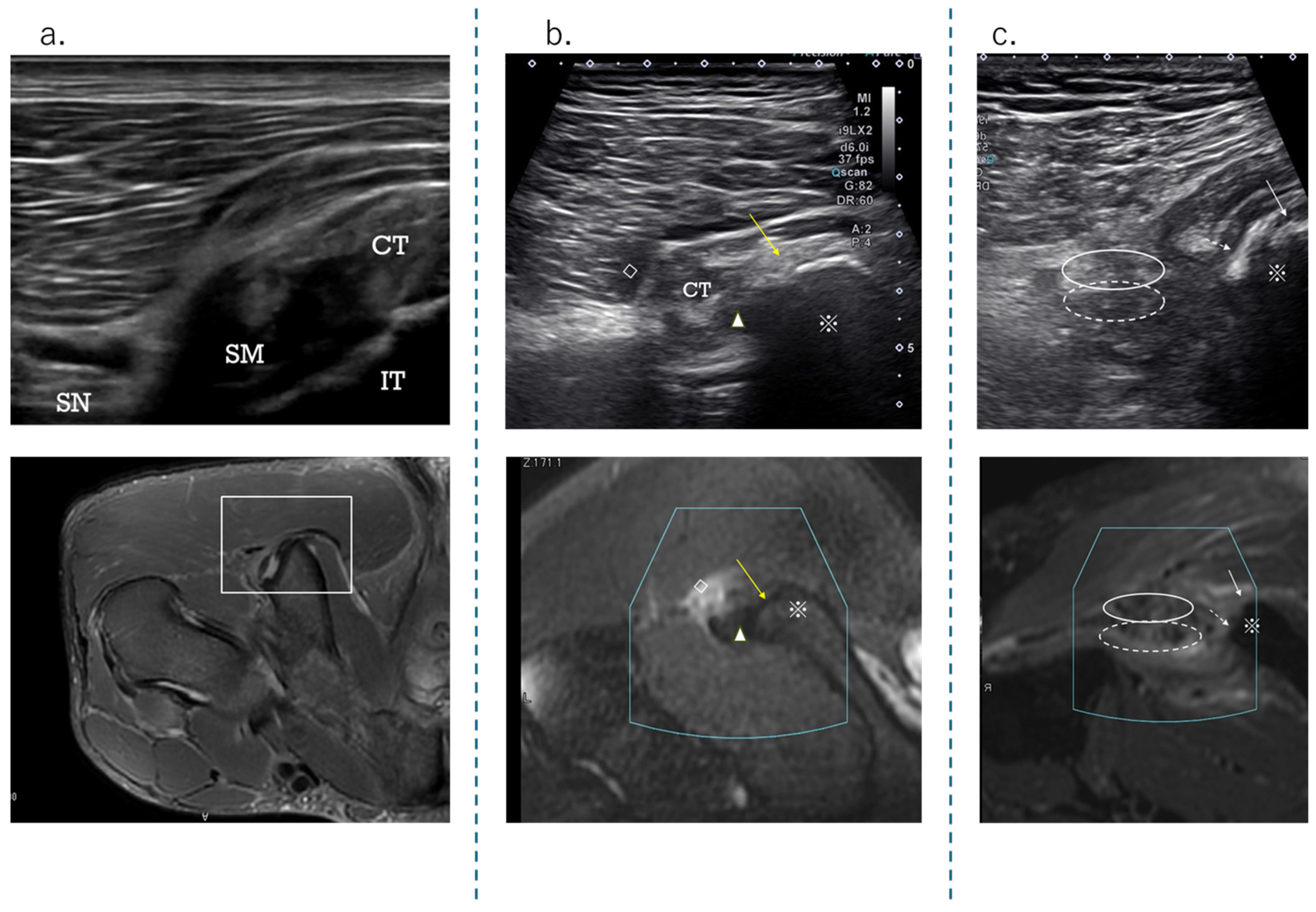 Diagnostics 15 00054 g005