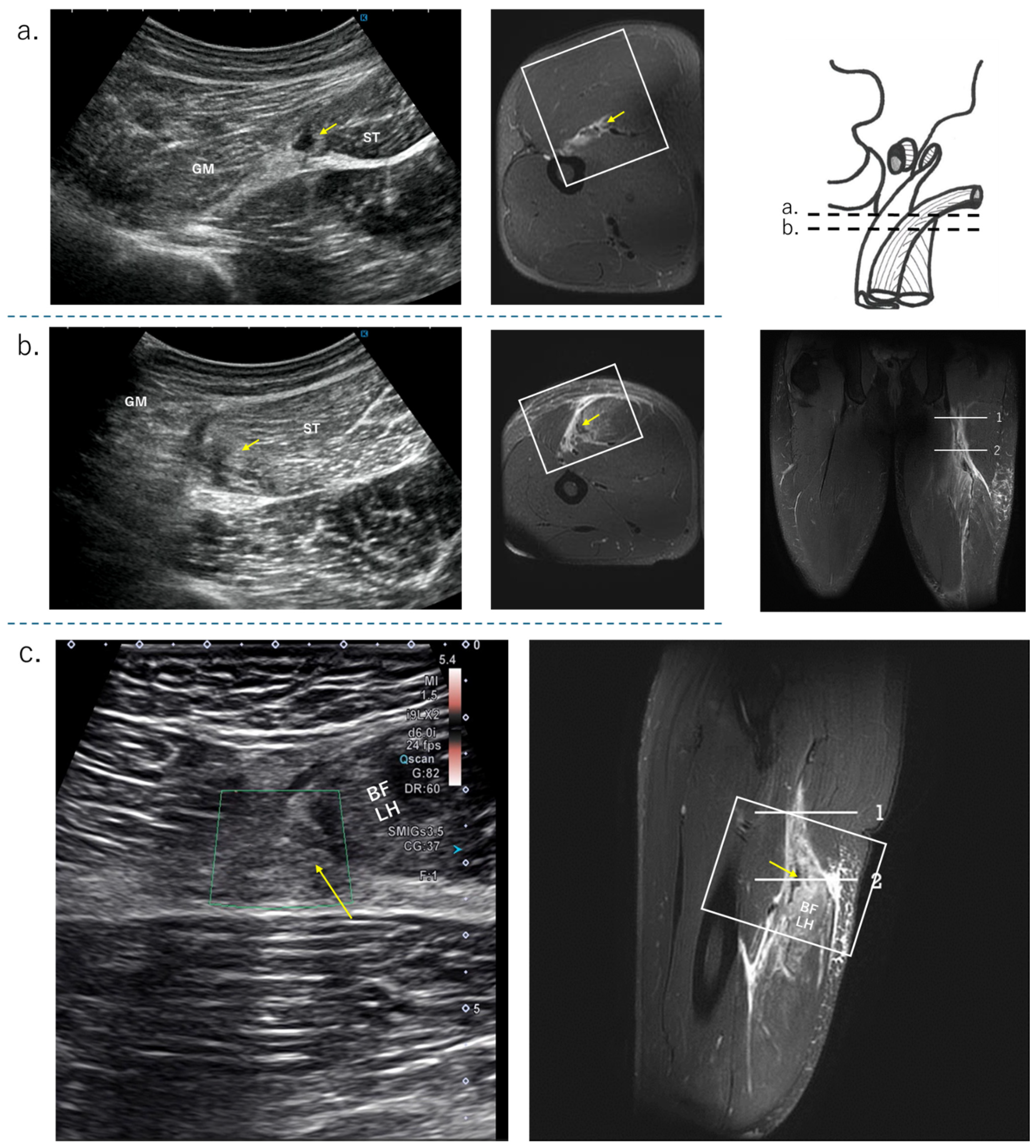Diagnostics 15 00054 g006
