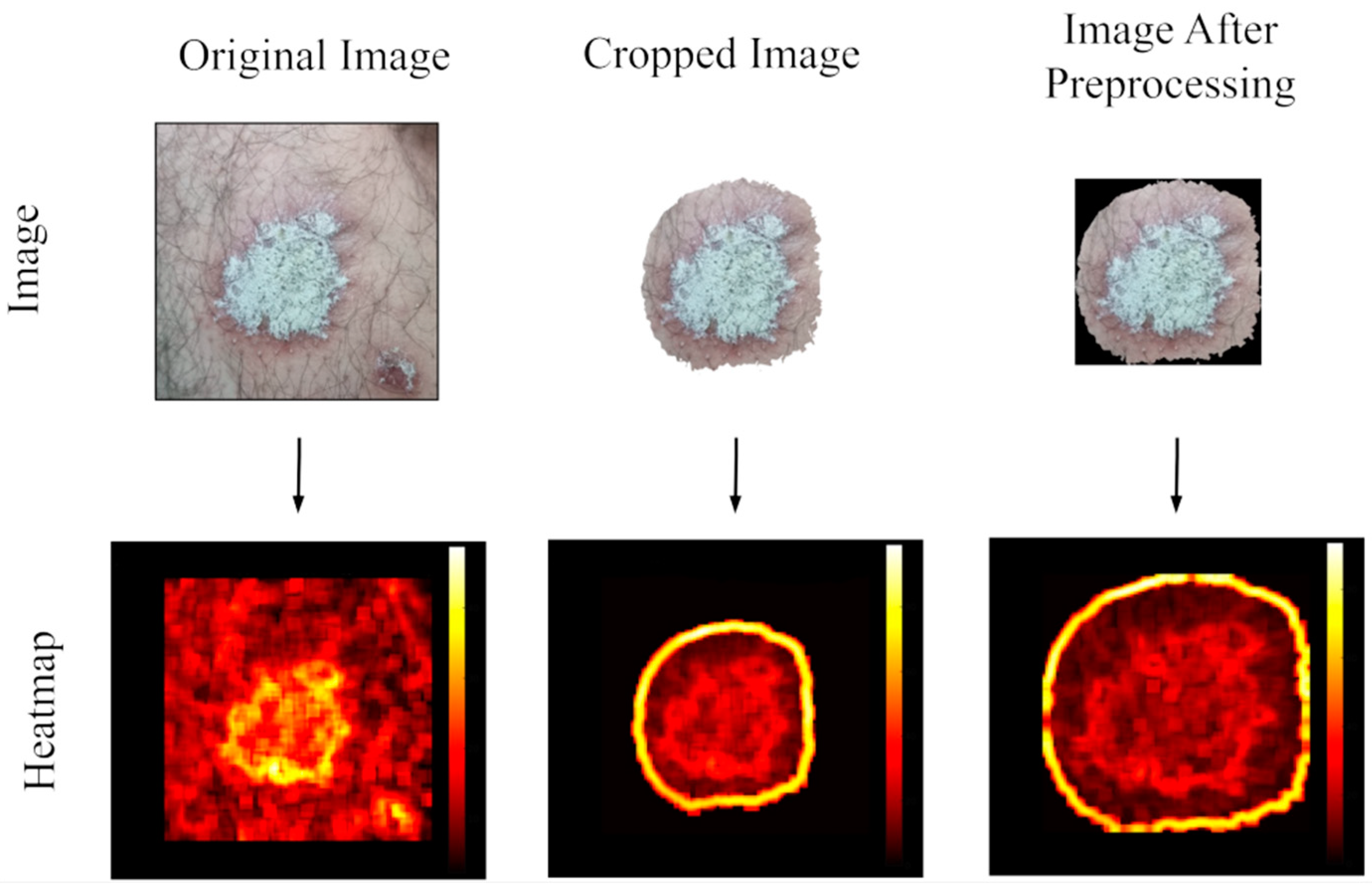 Diagnostics 15 00055 g004