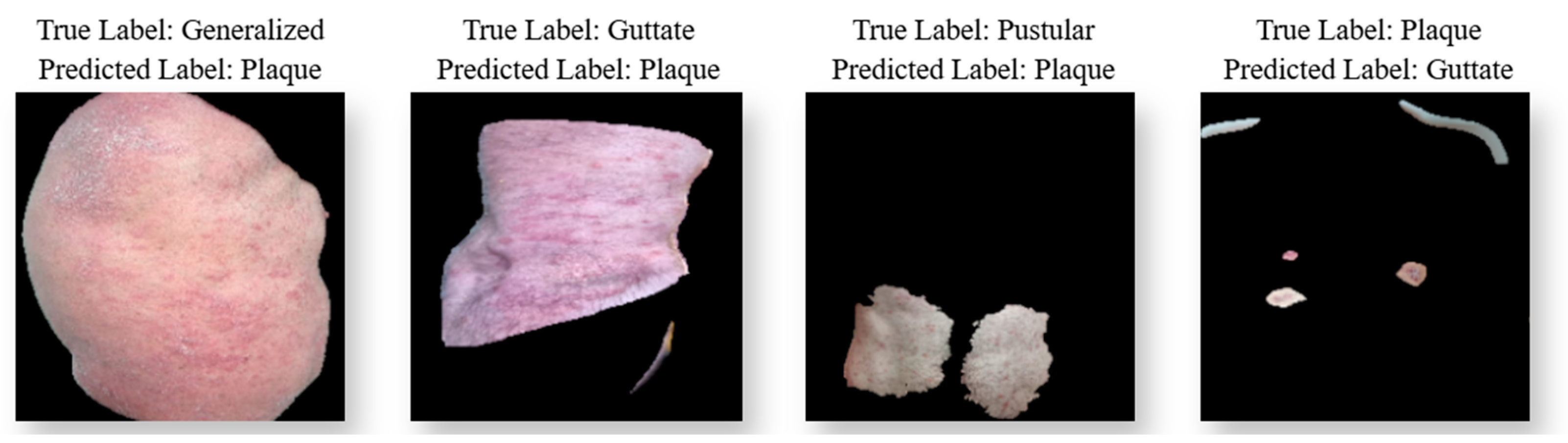 Diagnostics 15 00055 g010