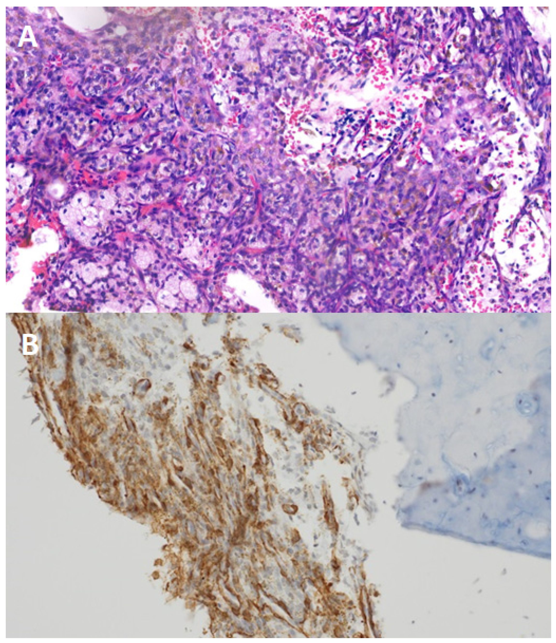 Diagnostics 15 00056 g002