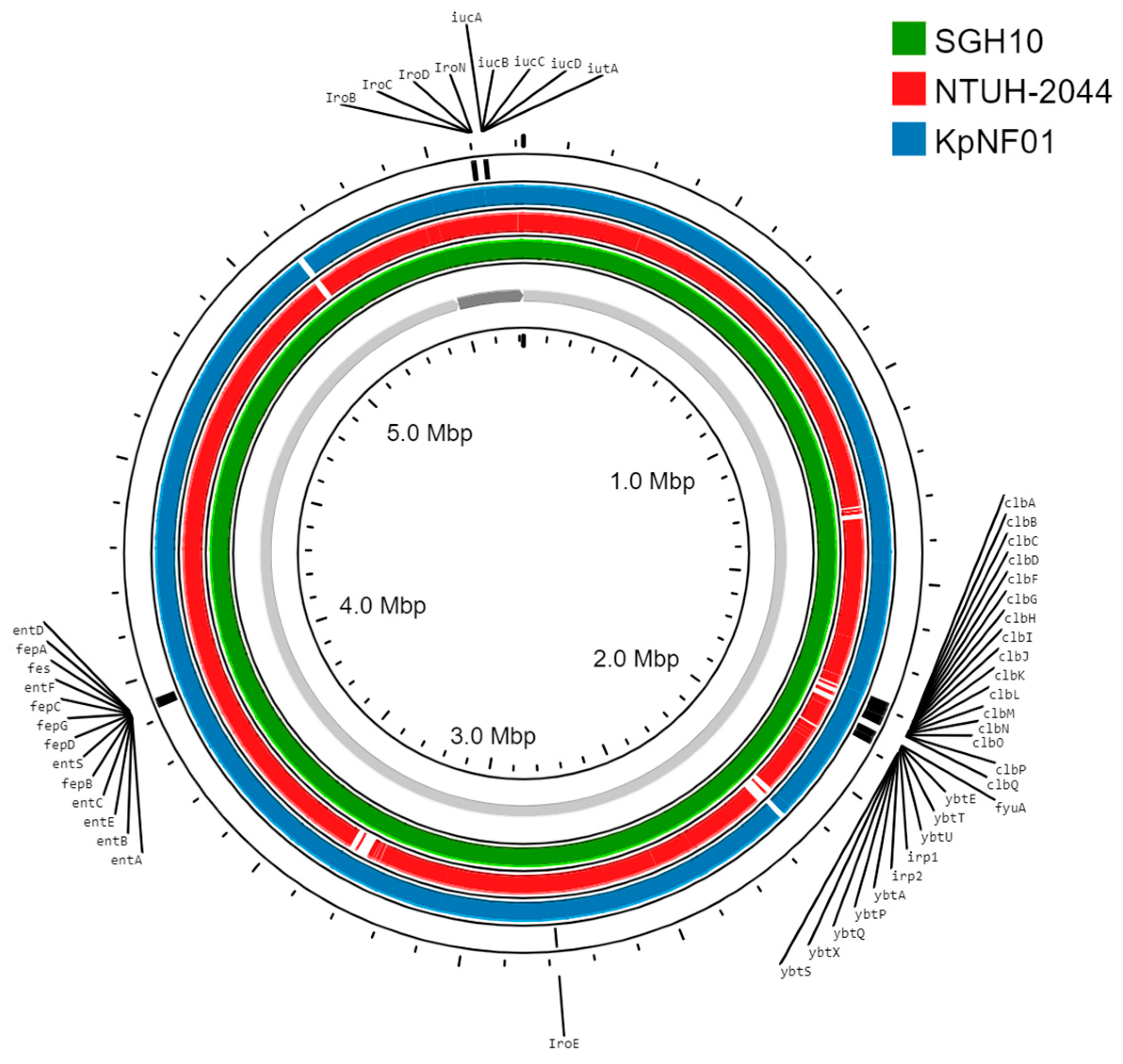 Diagnostics 15 00058 g001