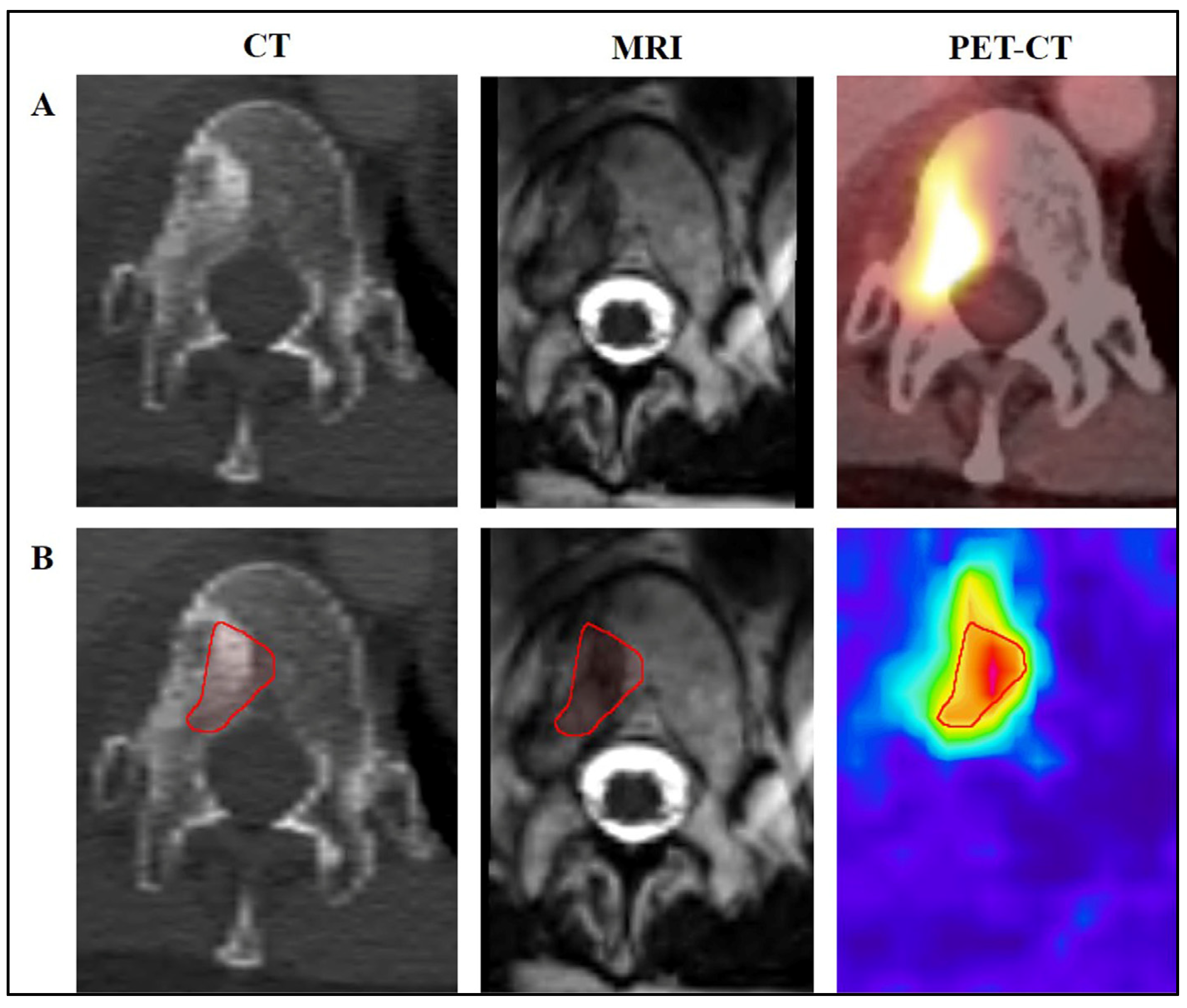 Diagnostics 15 00063 g001