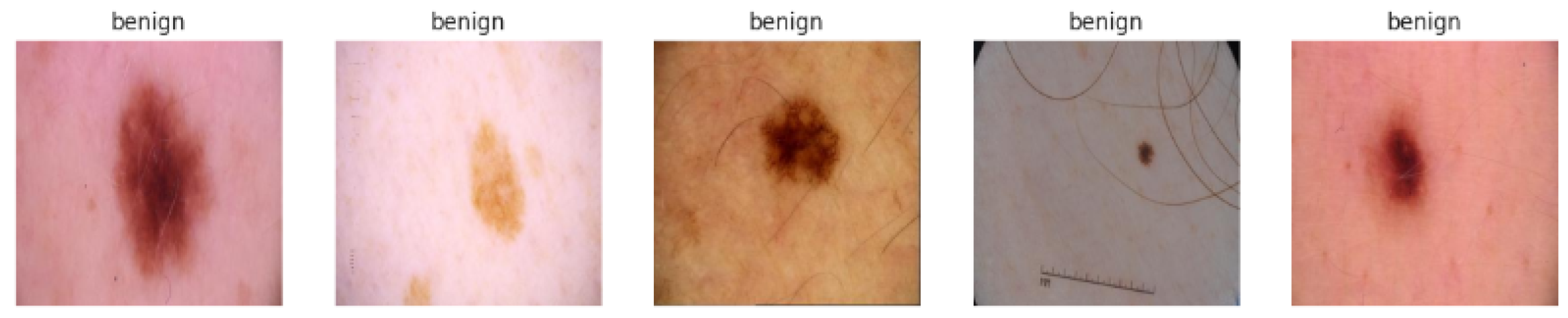 Diagnostics 15 00064 g001