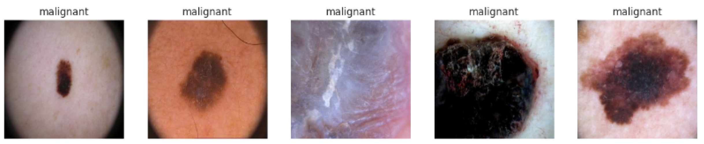 Diagnostics 15 00064 g002