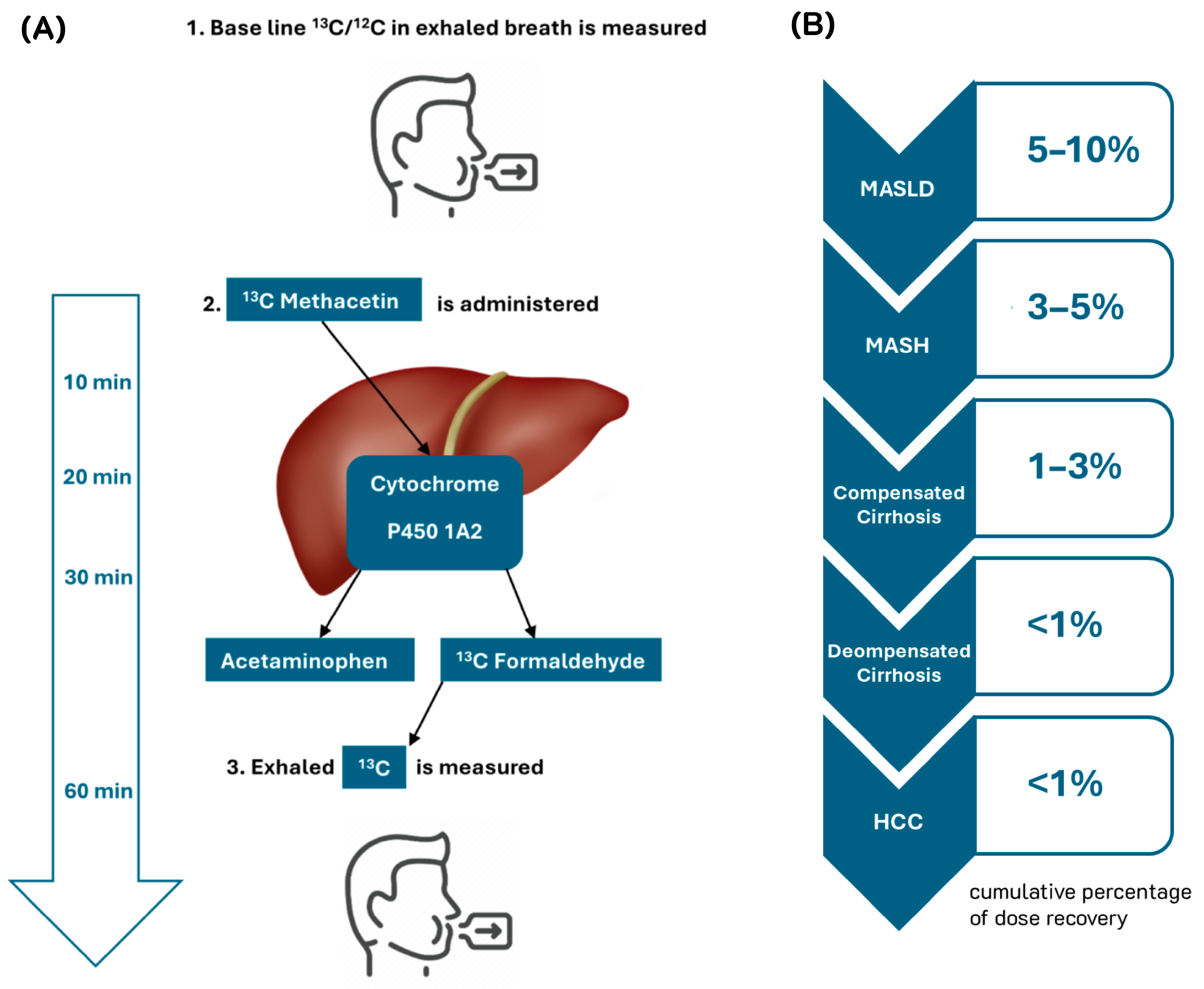 Diagnostics 15 00068 g001 Diagnostics 15 00068 g001